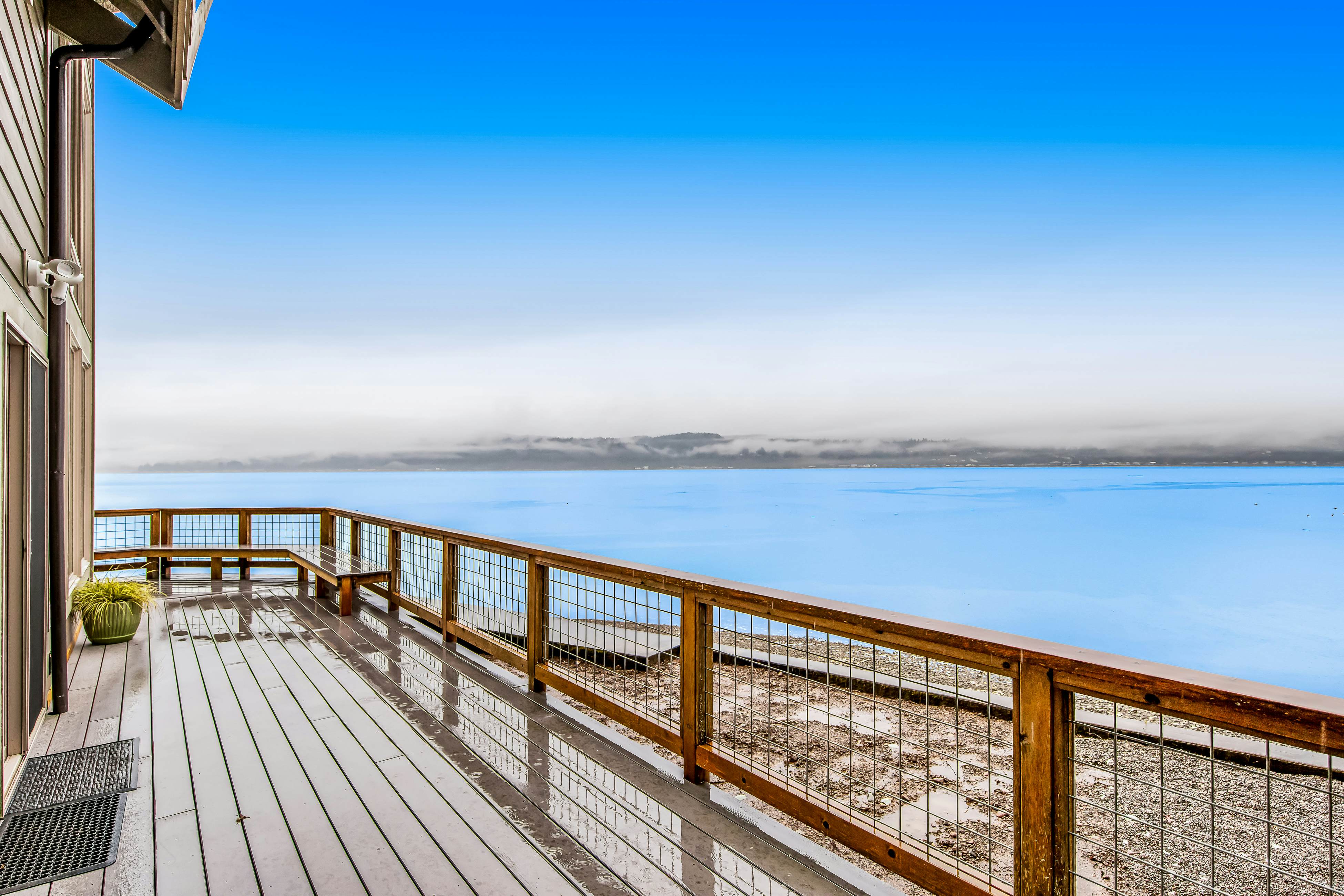Tahuya Trees and Tides