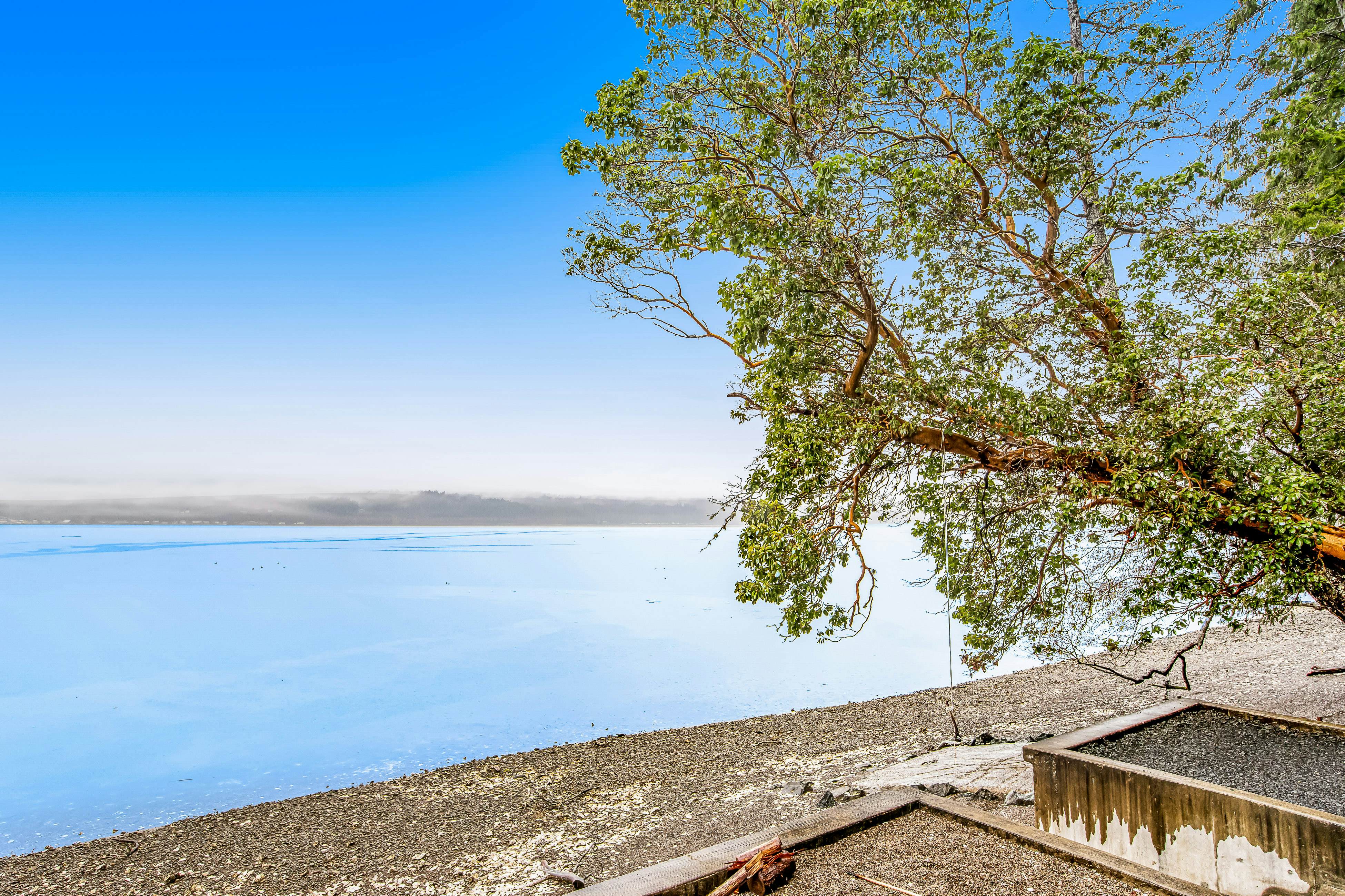 Tahuya Trees and Tides