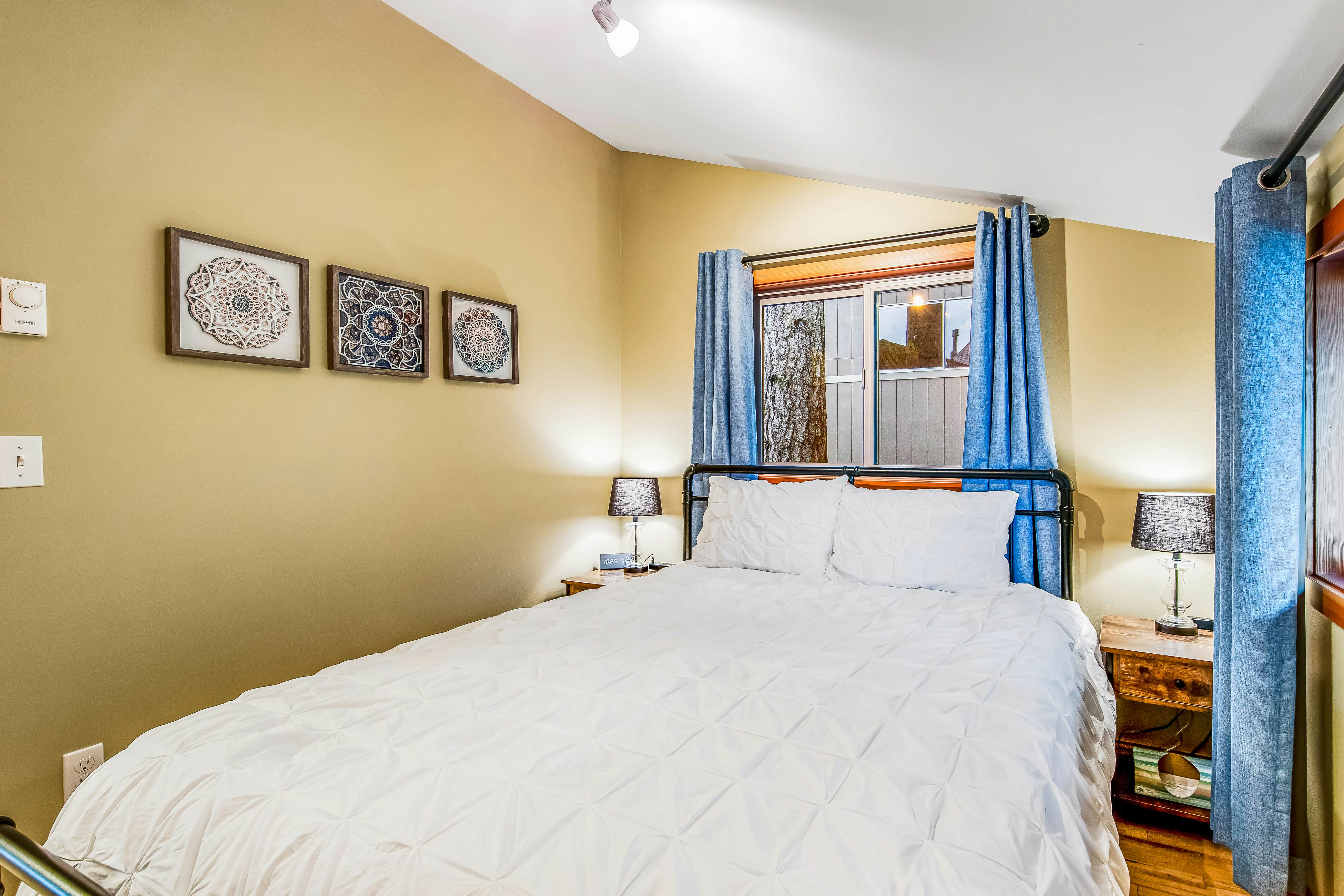 Tahuya Trees and Tides