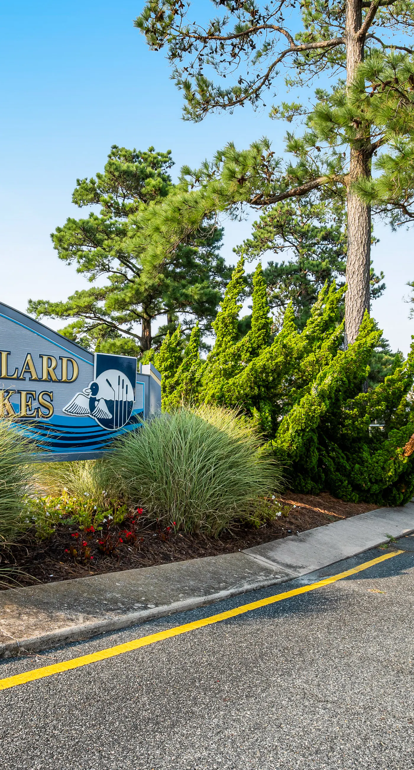 Mallard Lakes - 38256 Hummingbird Ln #218