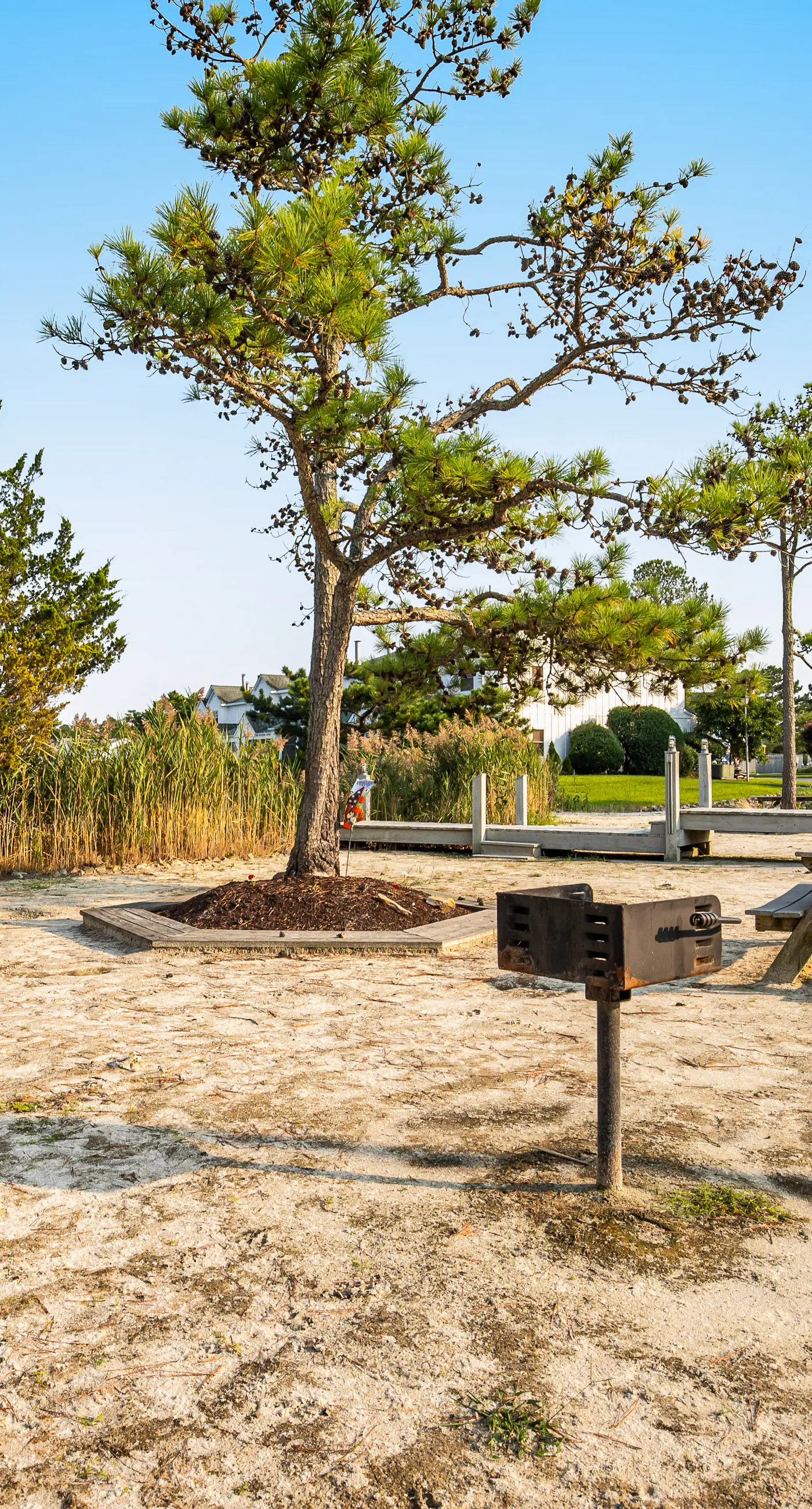 Mallard Lakes - 38256 Hummingbird Ln #218