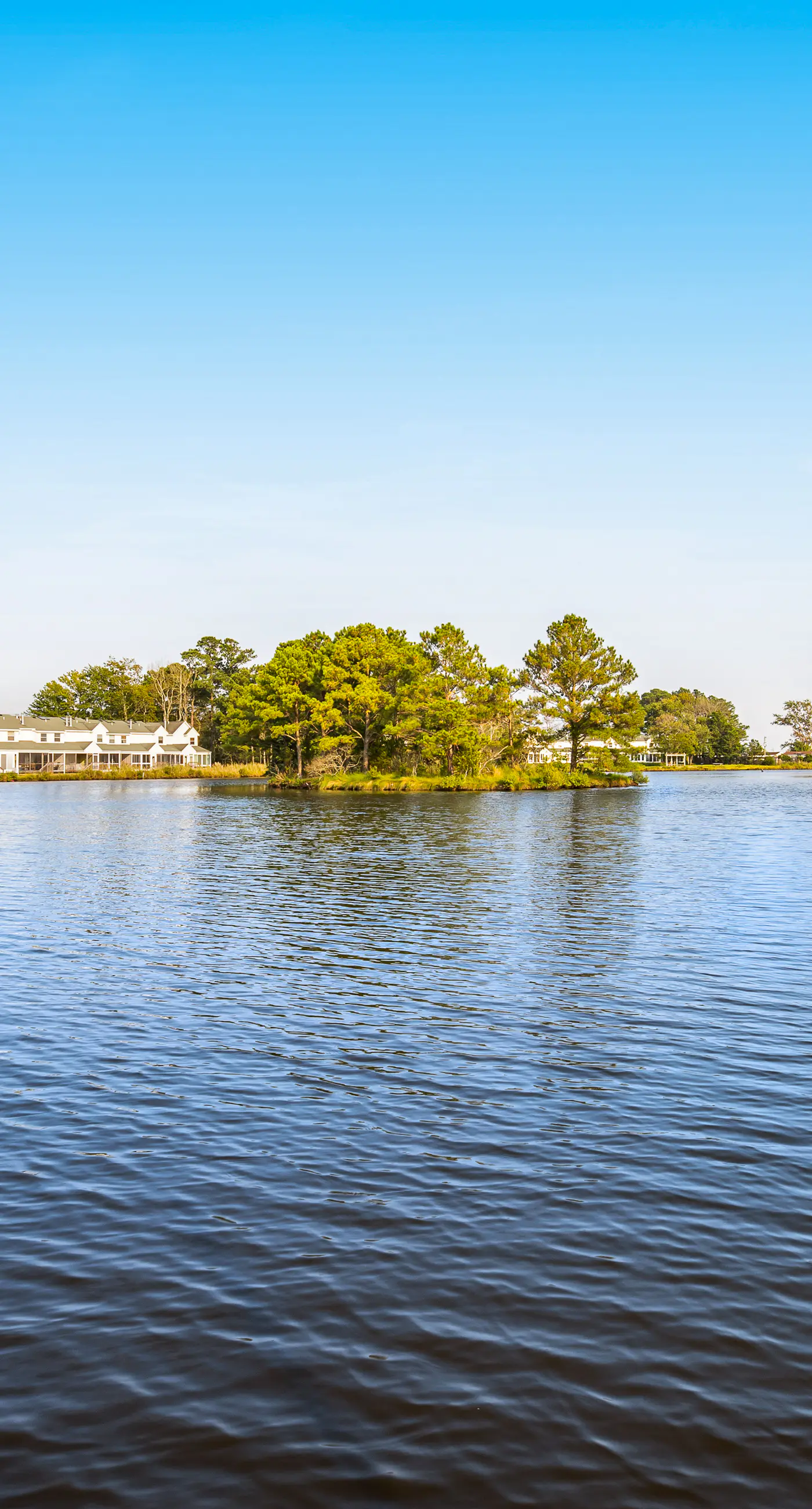 Mallard Lakes - 38256 Hummingbird Ln #218