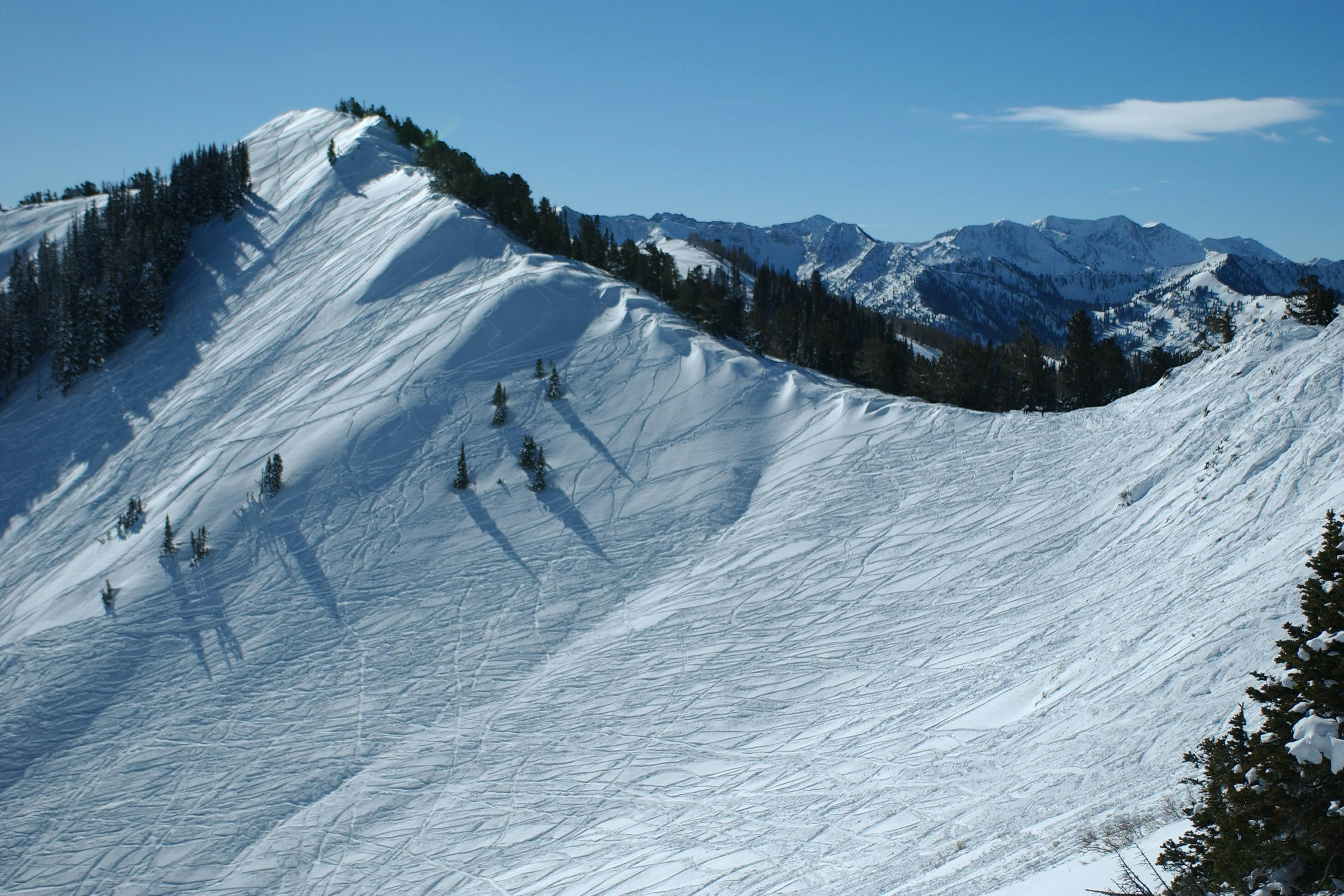 Powder Point Hideaway - Cozy Condo