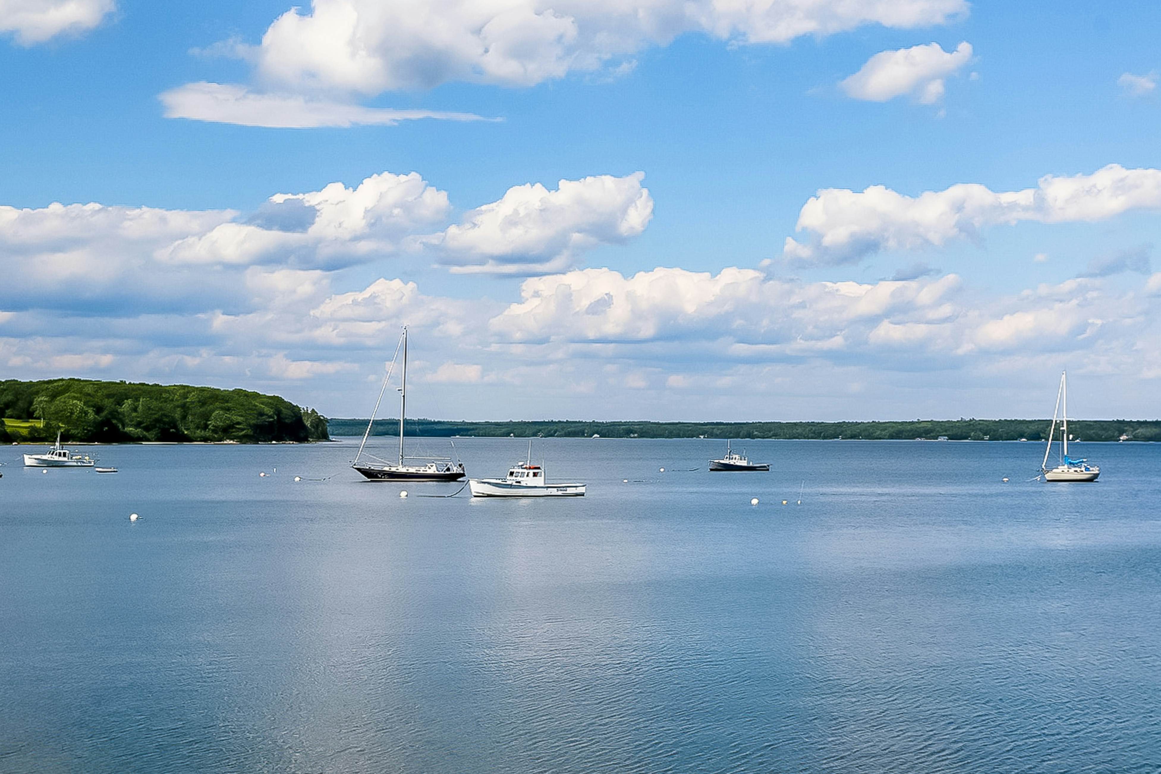 Dream Harbor Cottage 0 BD Surry, ME Vacation Rental Vacasa