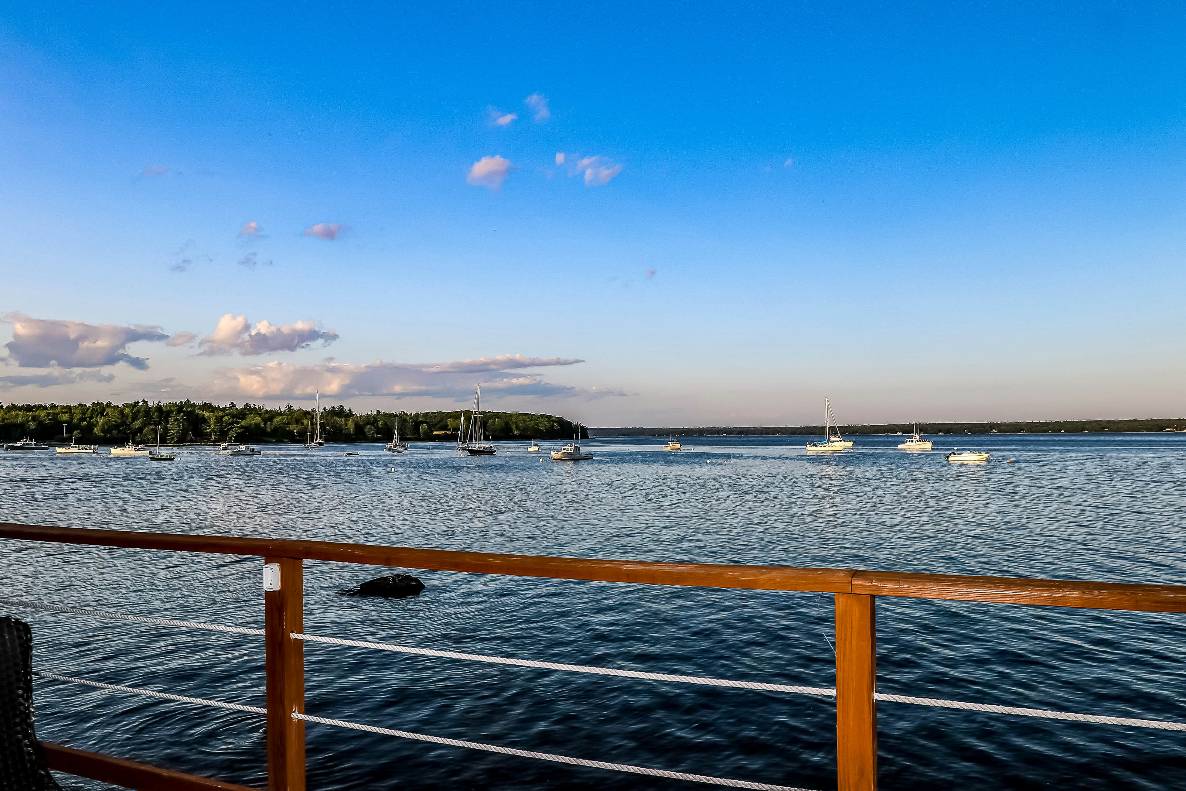 Dream Harbor Cottage 0 BD Surry, ME Vacation Rental Vacasa