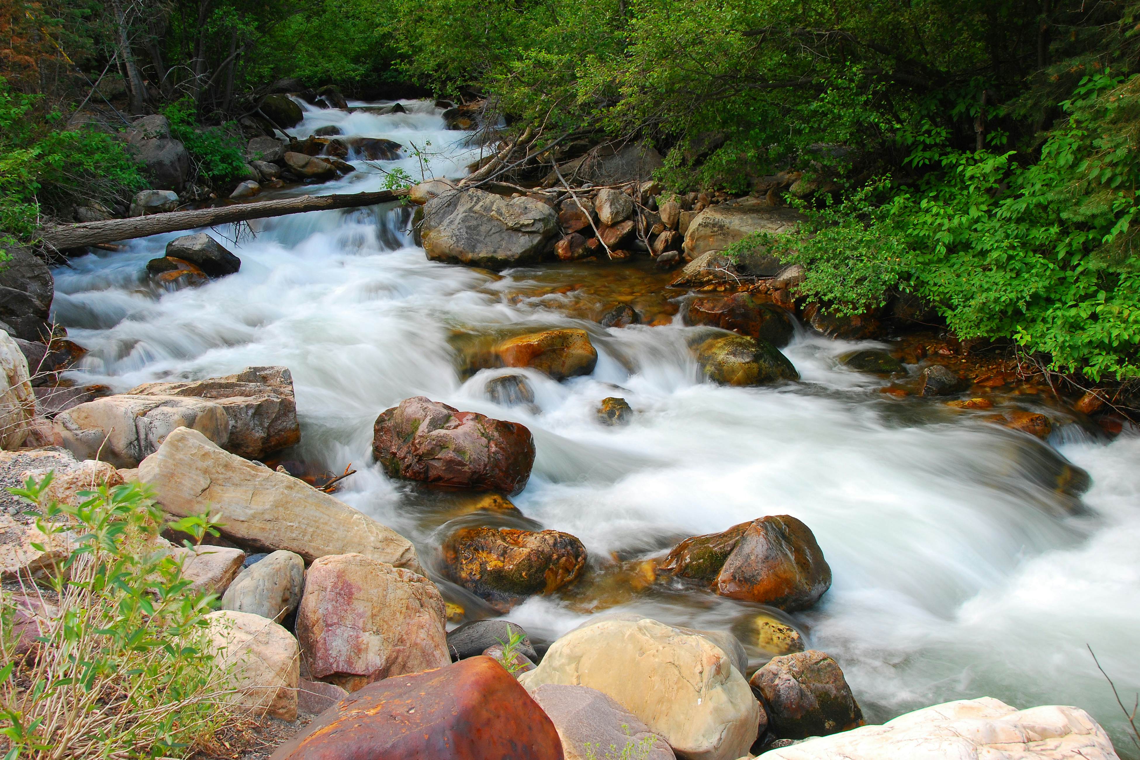 Blackstone Paradise 1B