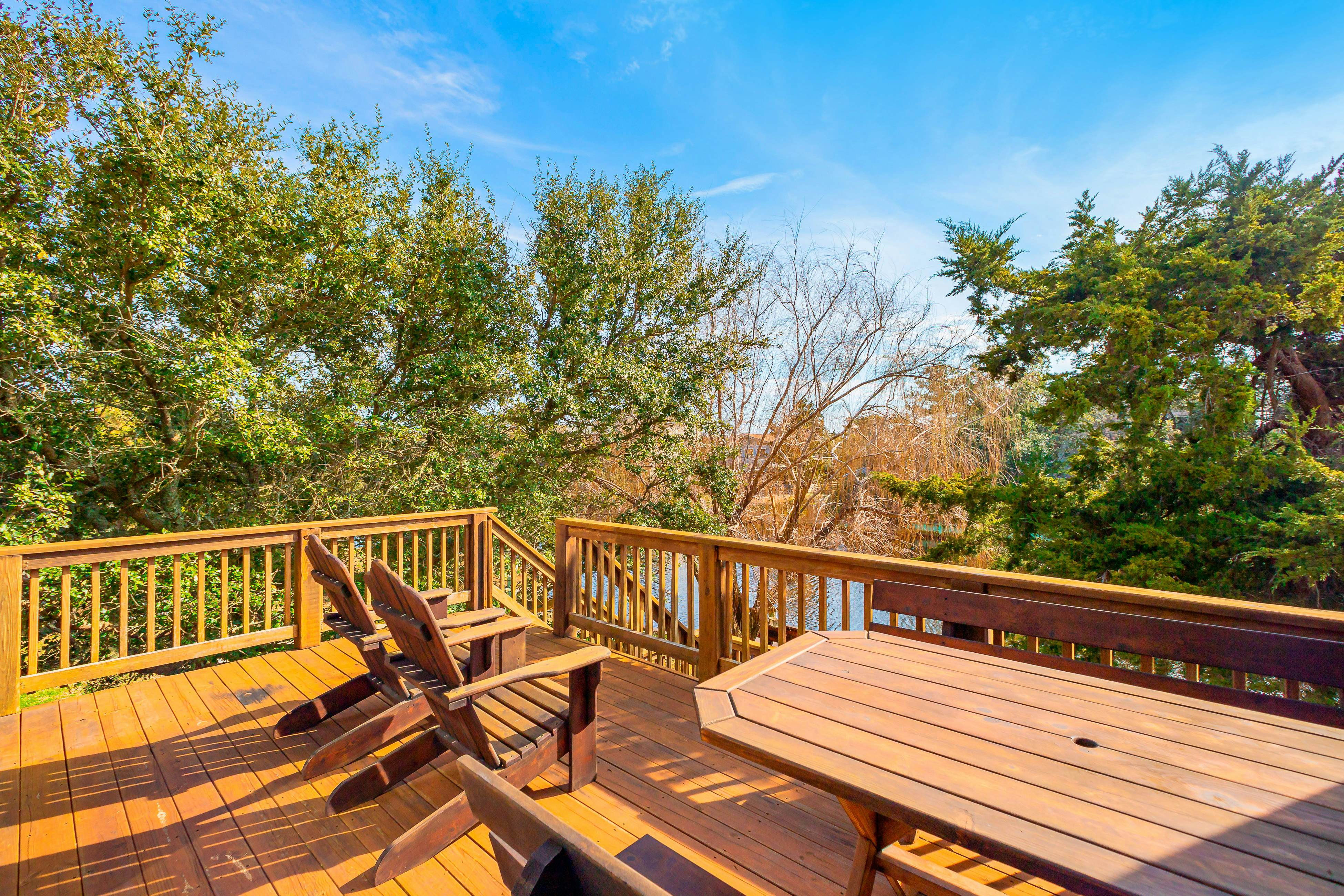 Wind in the Willow 624