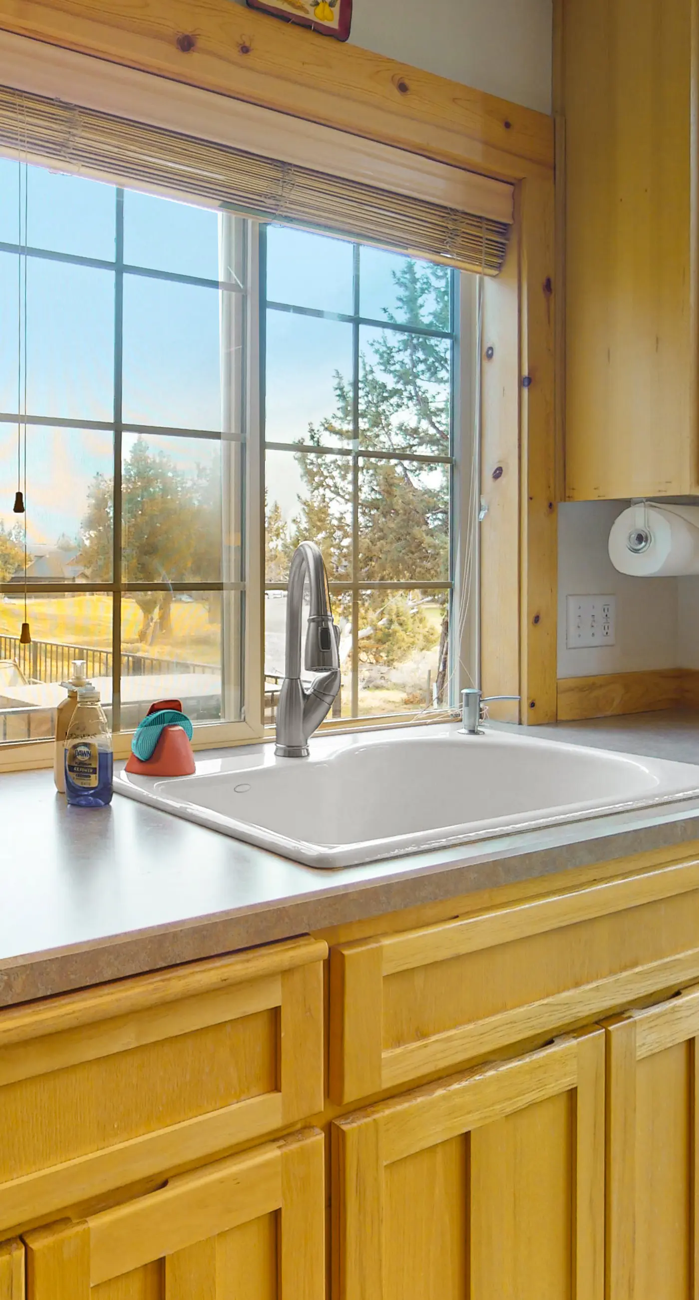 Cinnamon Teal Chalet