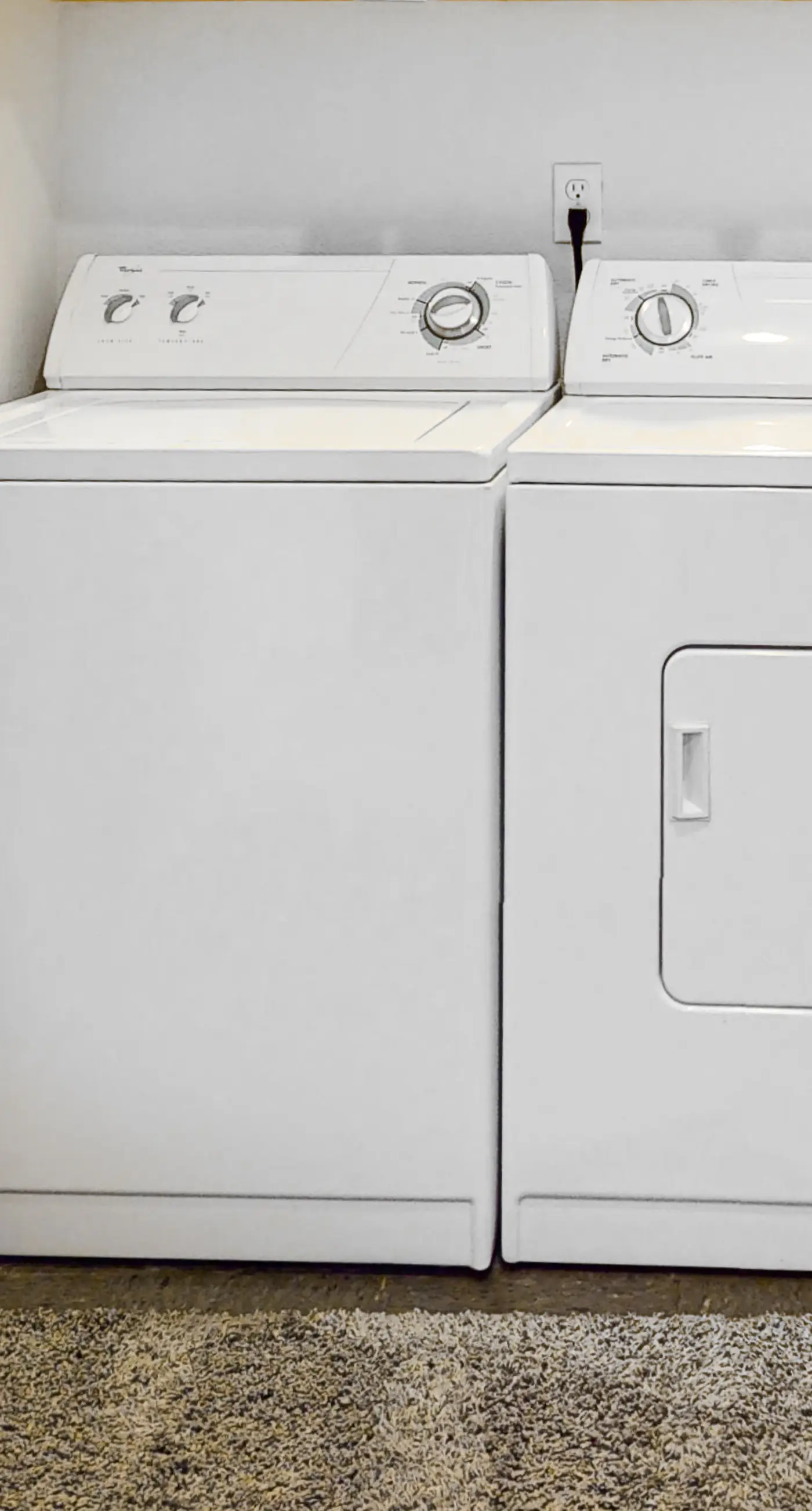 Cinnamon Teal Chalet