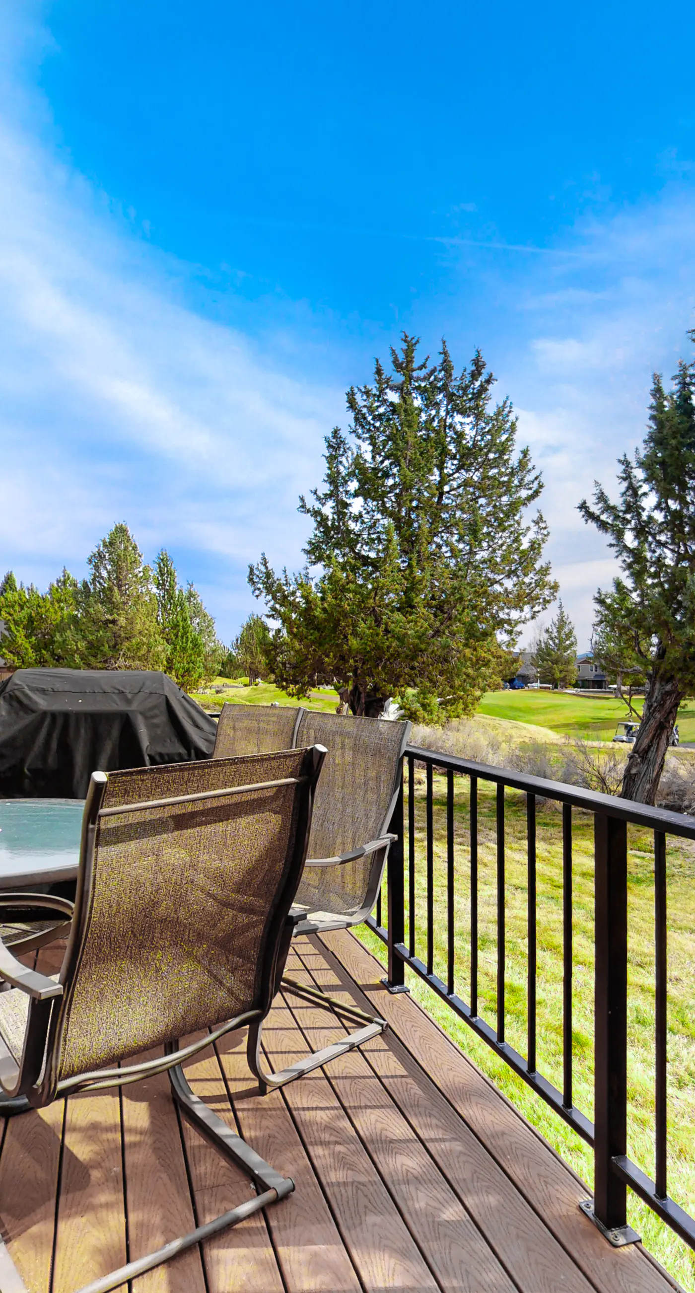 Cinnamon Teal Chalet