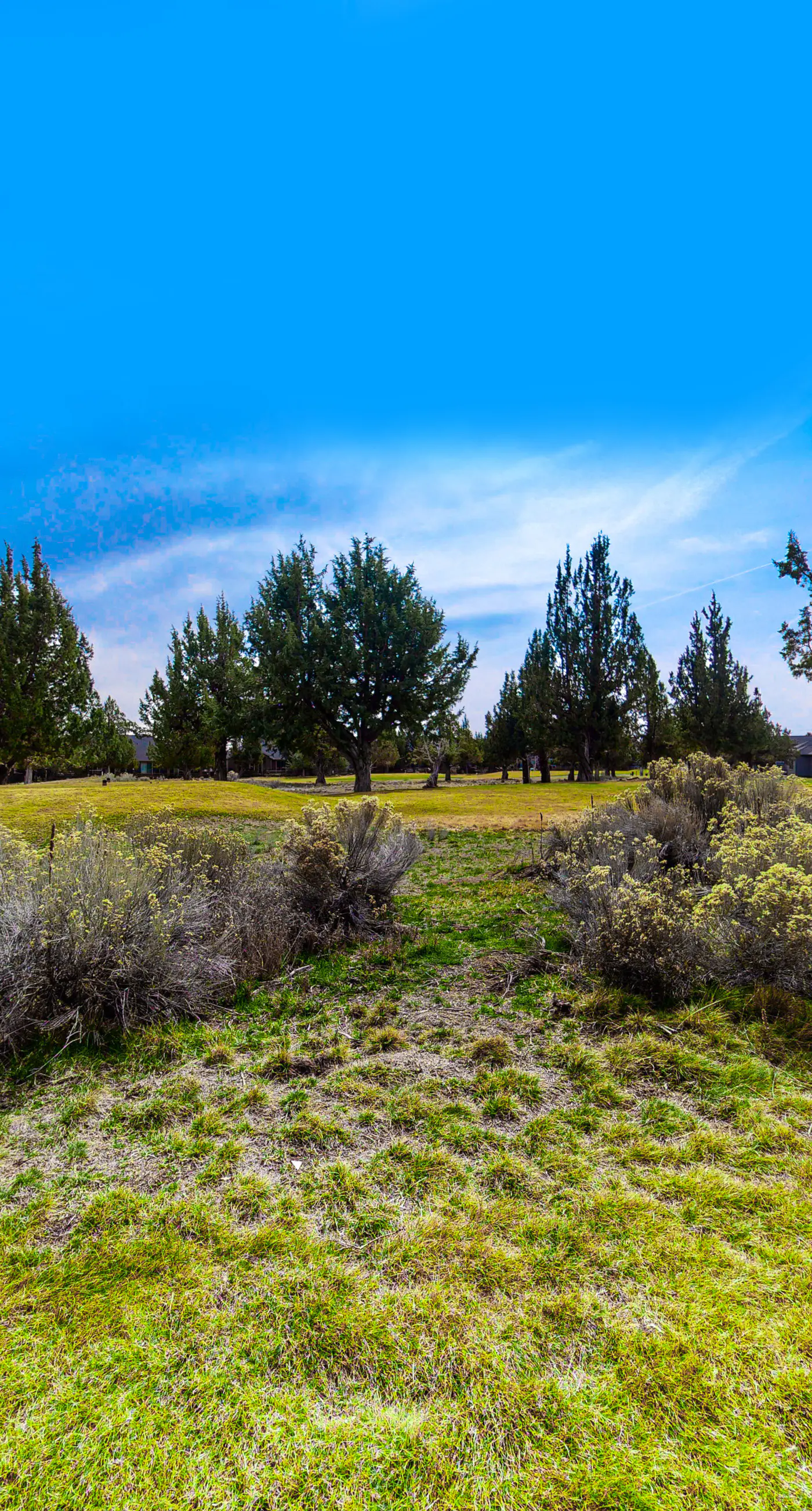 Cinnamon Teal Chalet