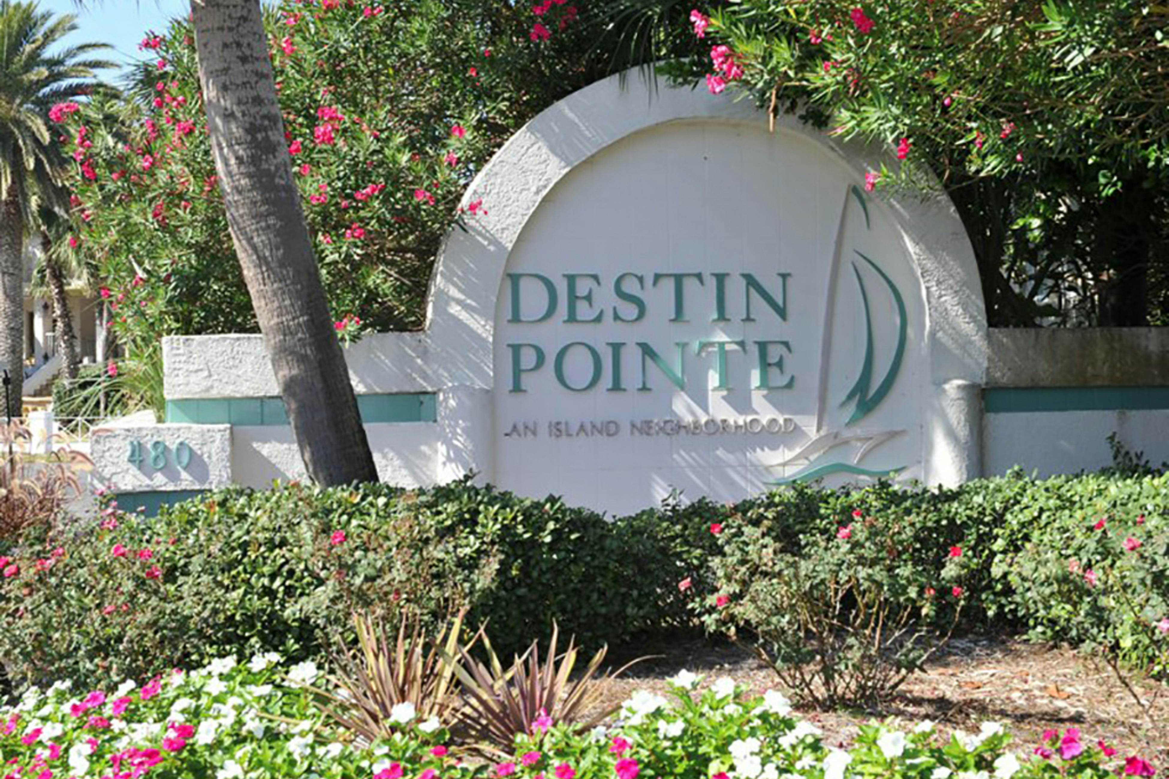 Destin Dolphin