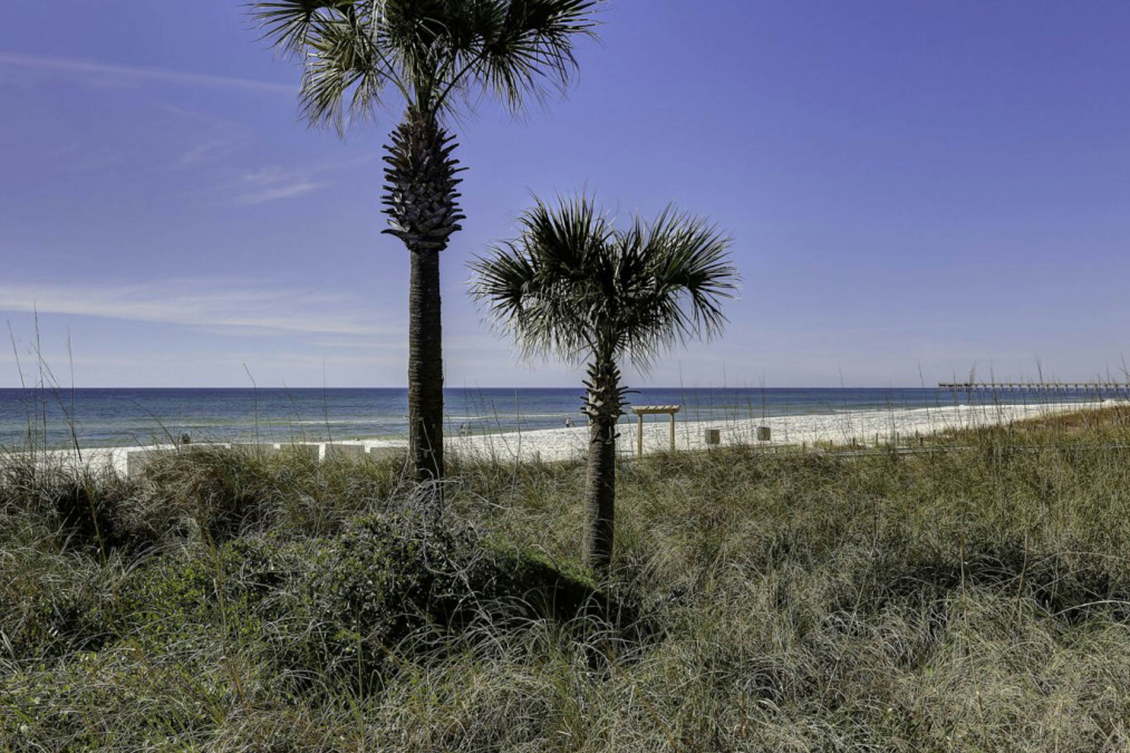 Edgewater Beach Resort T1-1204