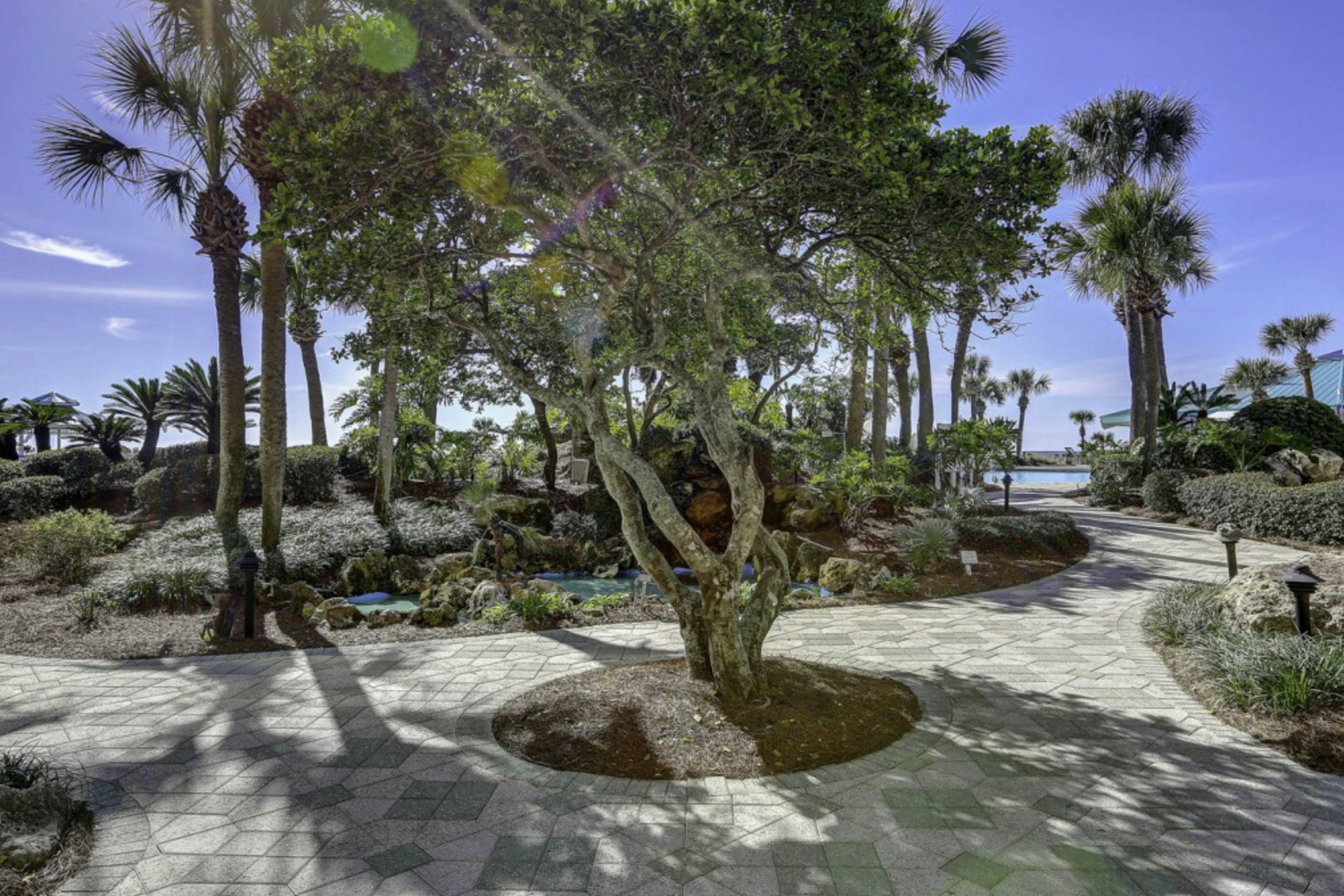 Edgewater Beach Resort T1-1204