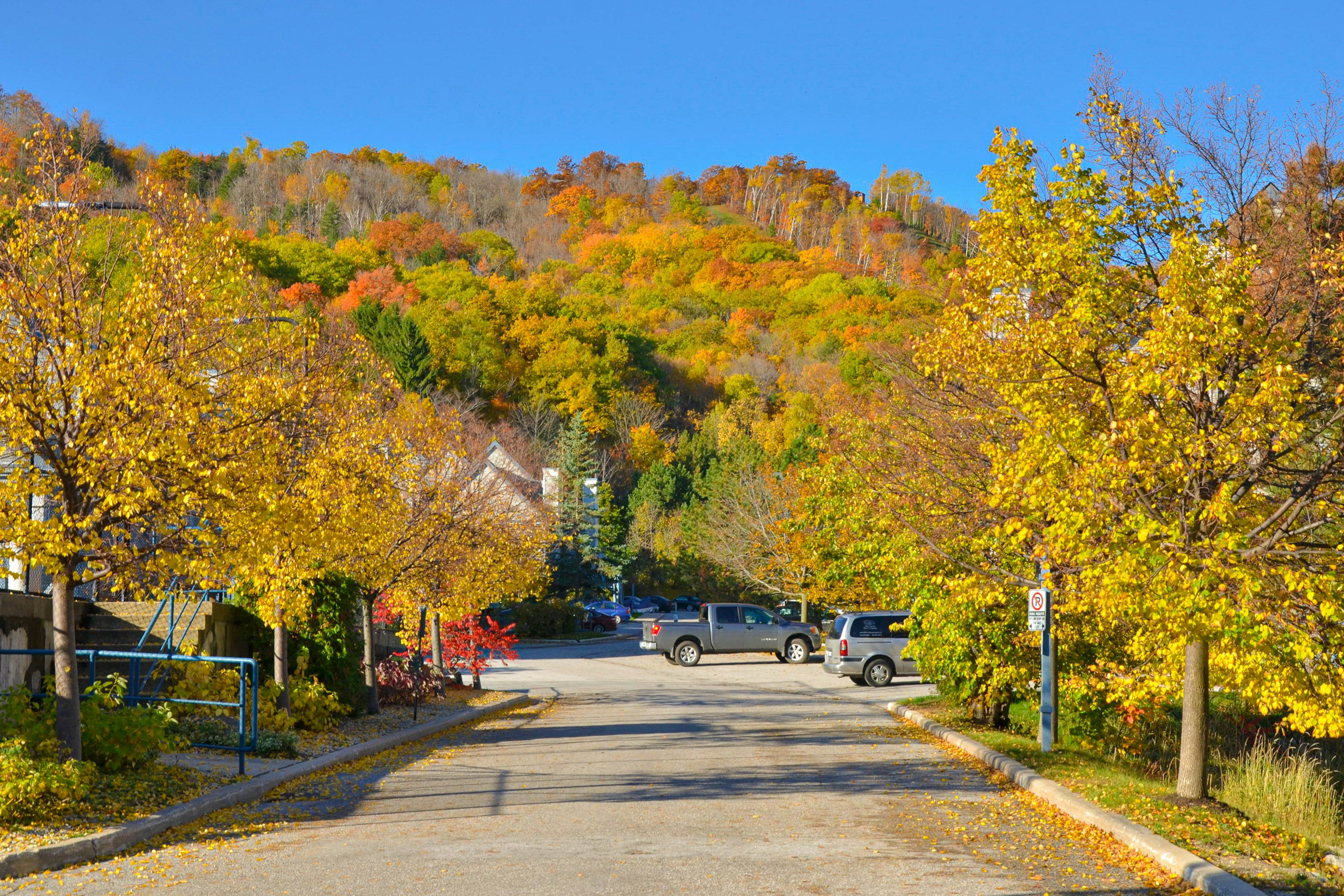 Condo 206 at North Creek Resort
