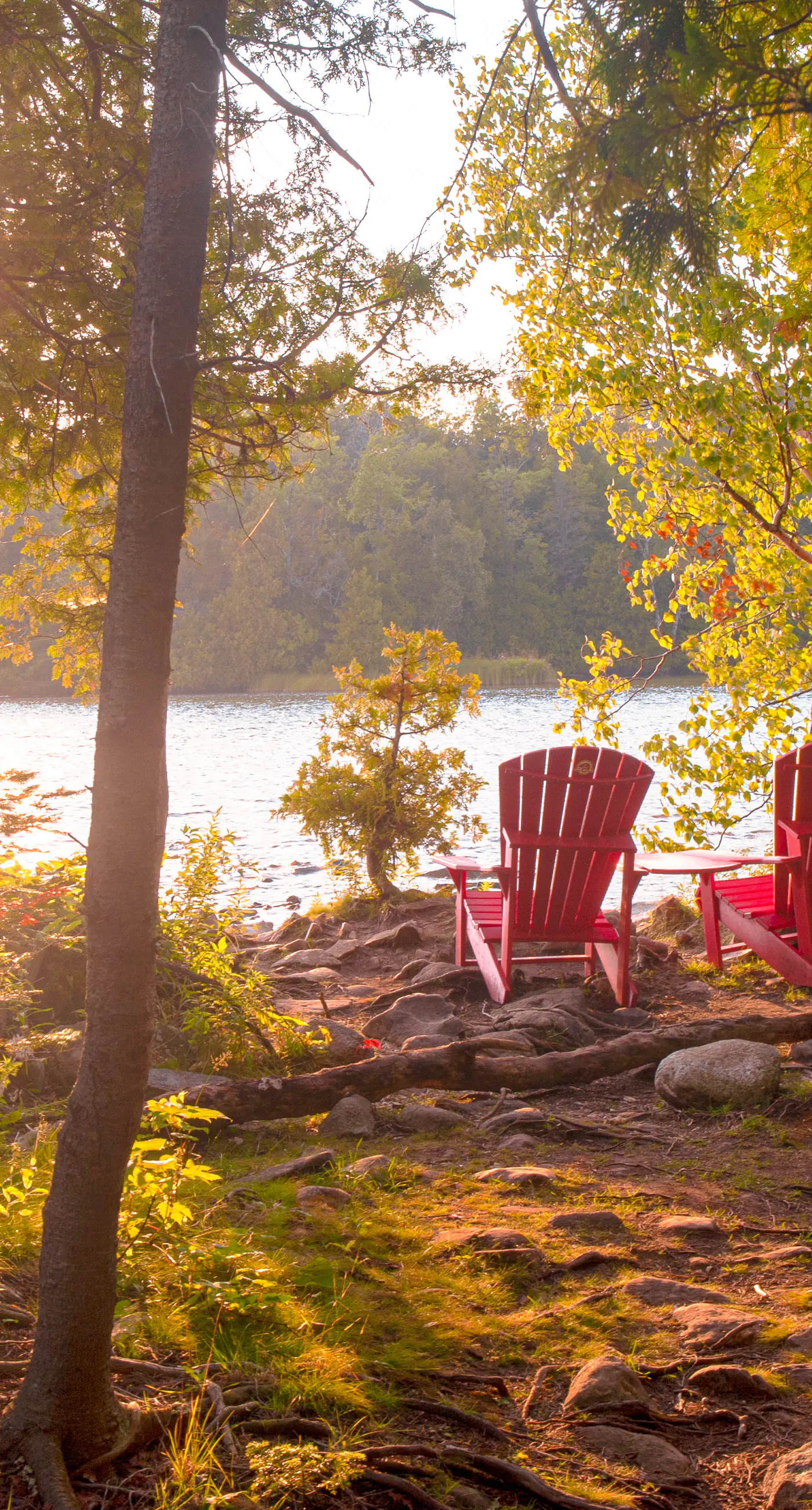 Condo 212 at North Creek Resort