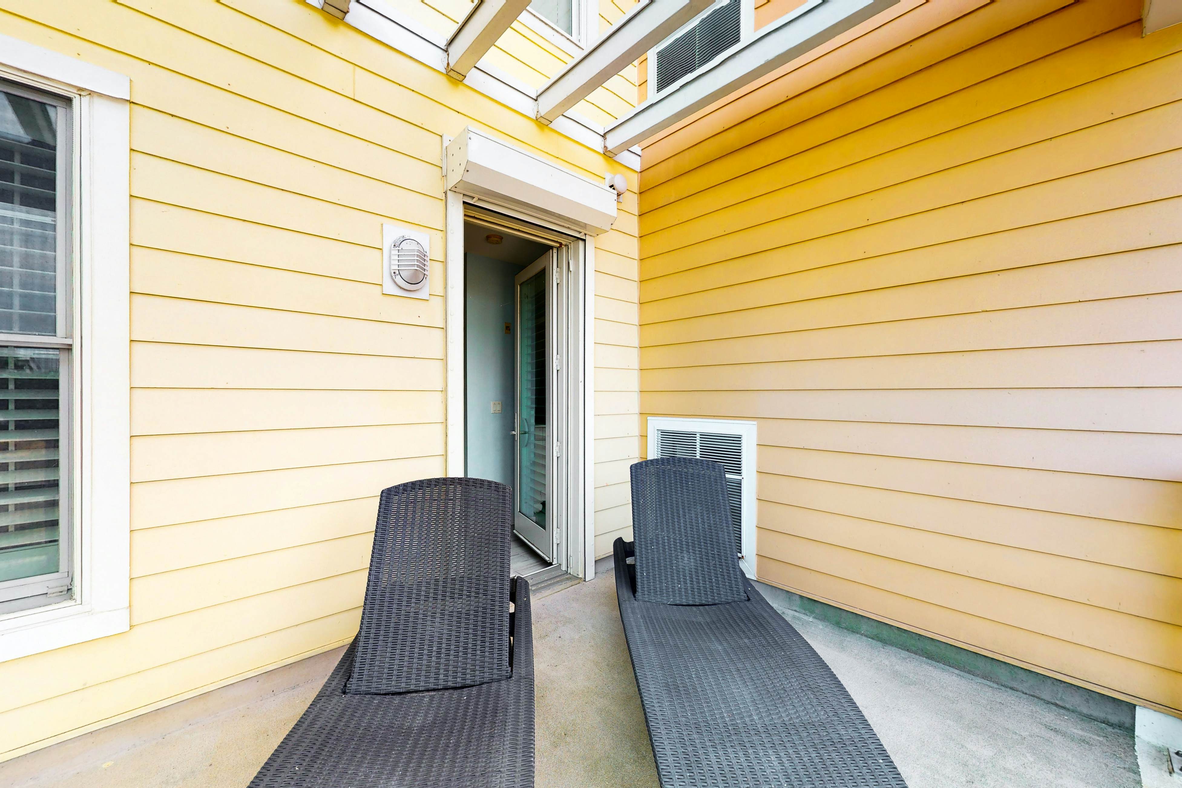 The Sanctuary - Dolphins and Daiquiris 110A