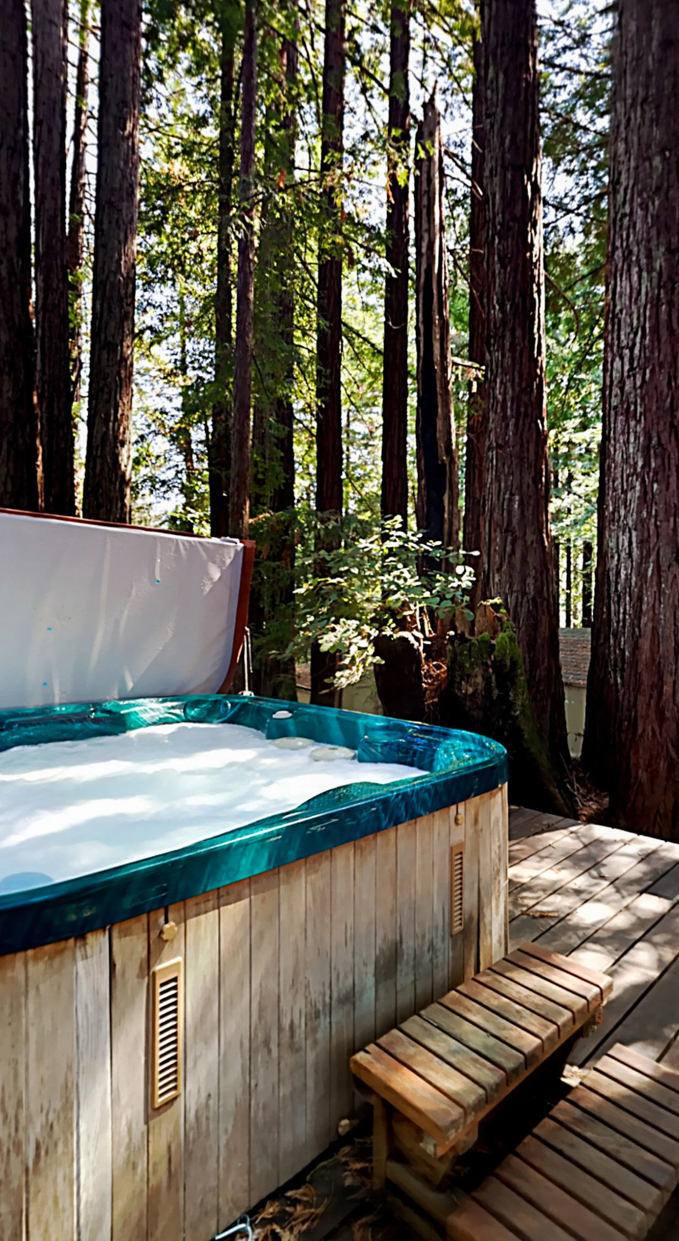 Soak under a cathedral of ancient redwoods in your private hot tub — the ultimate way to cap a day of wine tasting along the Russian River.