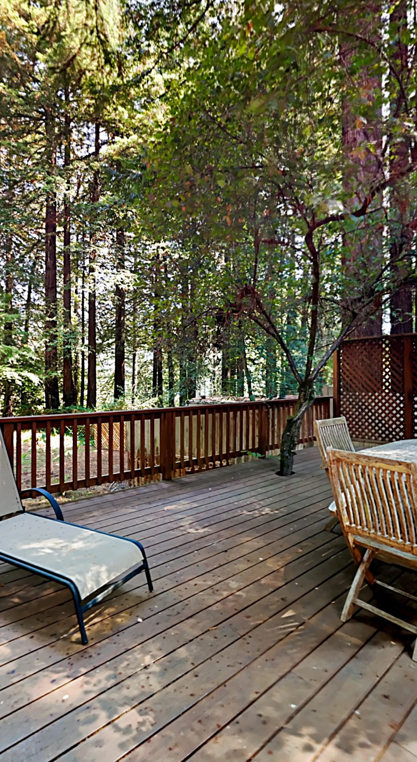 Unwind on your sun-dappled deck with teak dining and chaise lounges — the perfect spot to plan your Sonoma County winery itinerary.