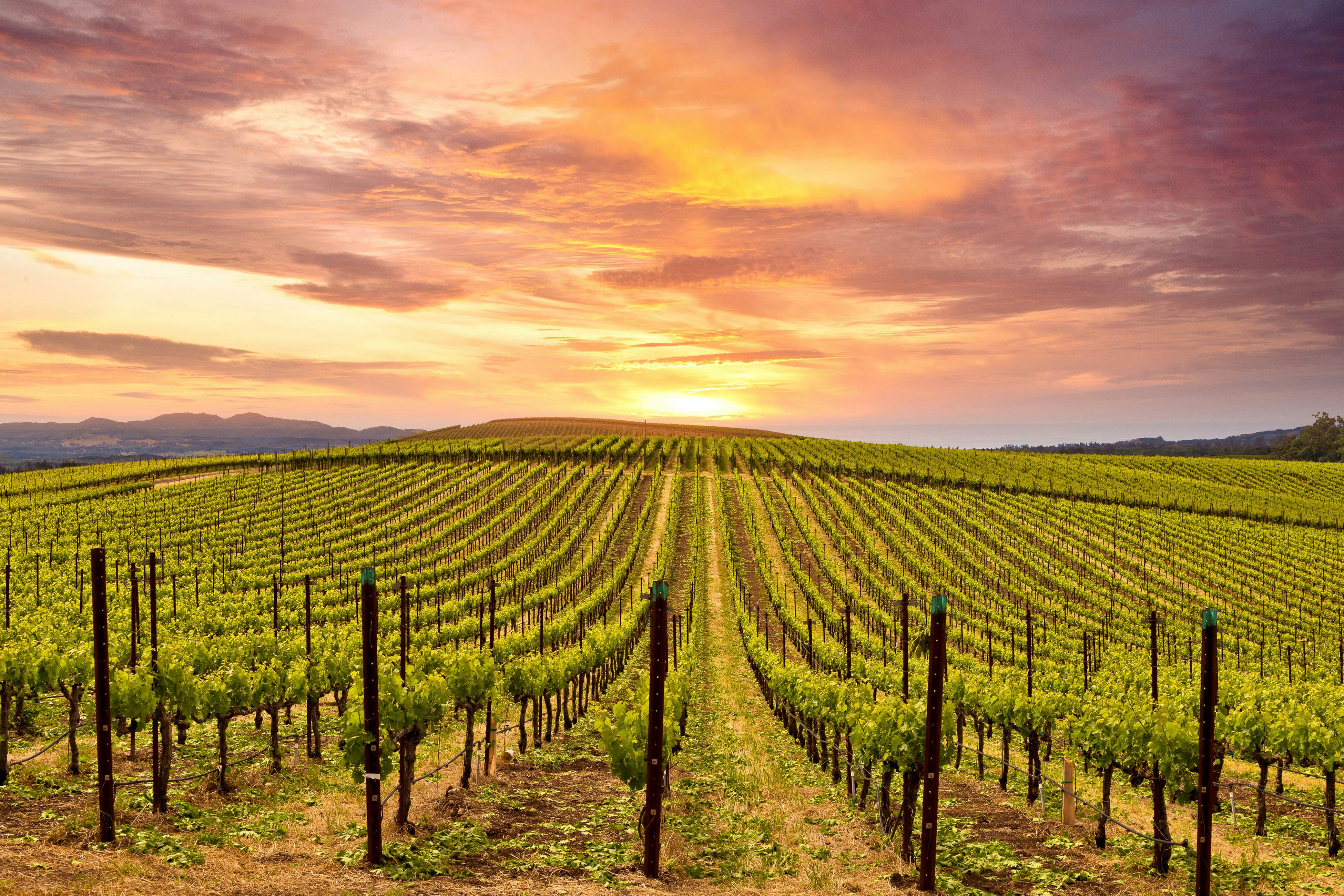 Silverado Resort and Spa 272