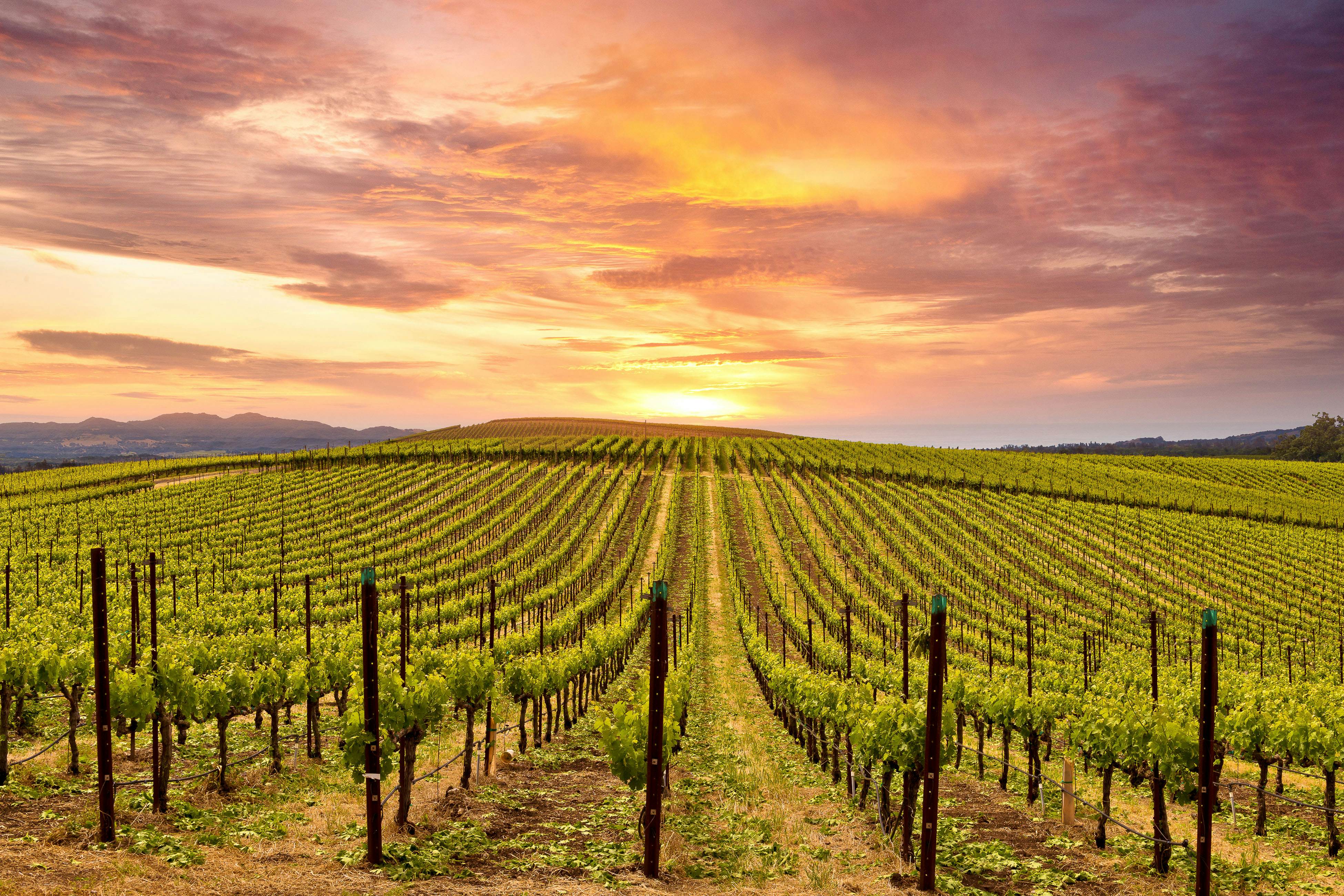 Silverado Resort and Spa 271