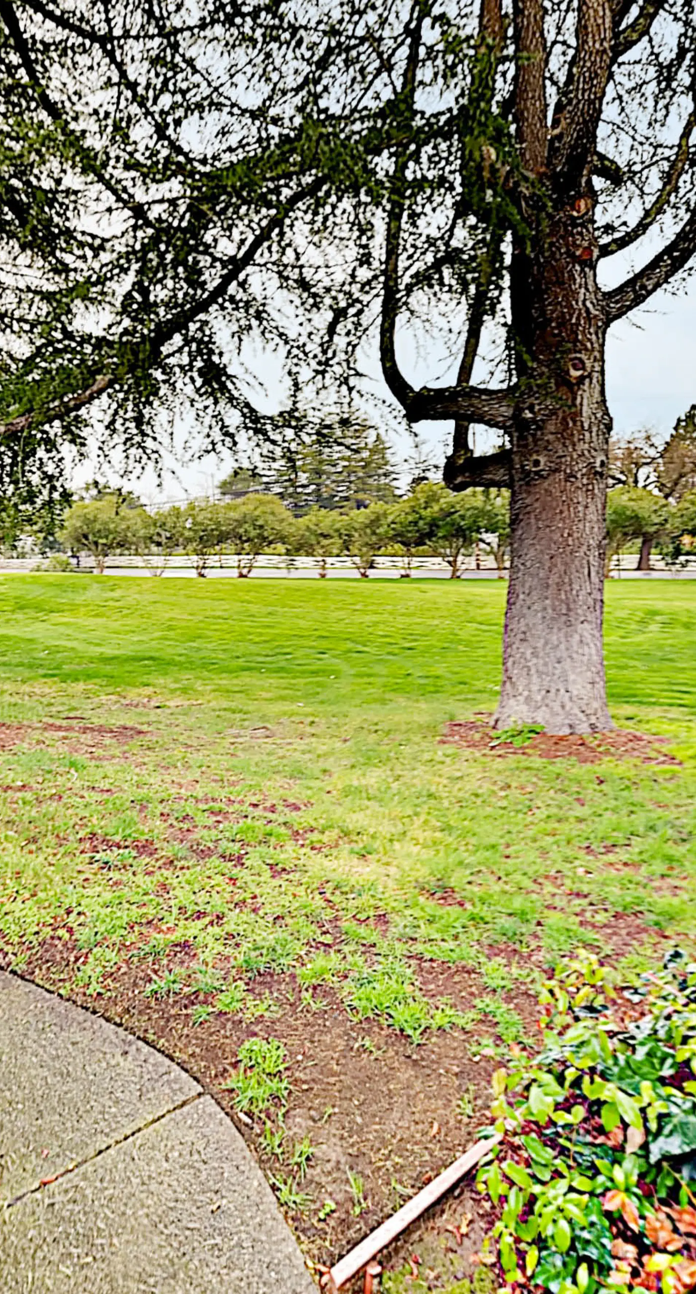 Silverado Resort and Spa 353 & 354