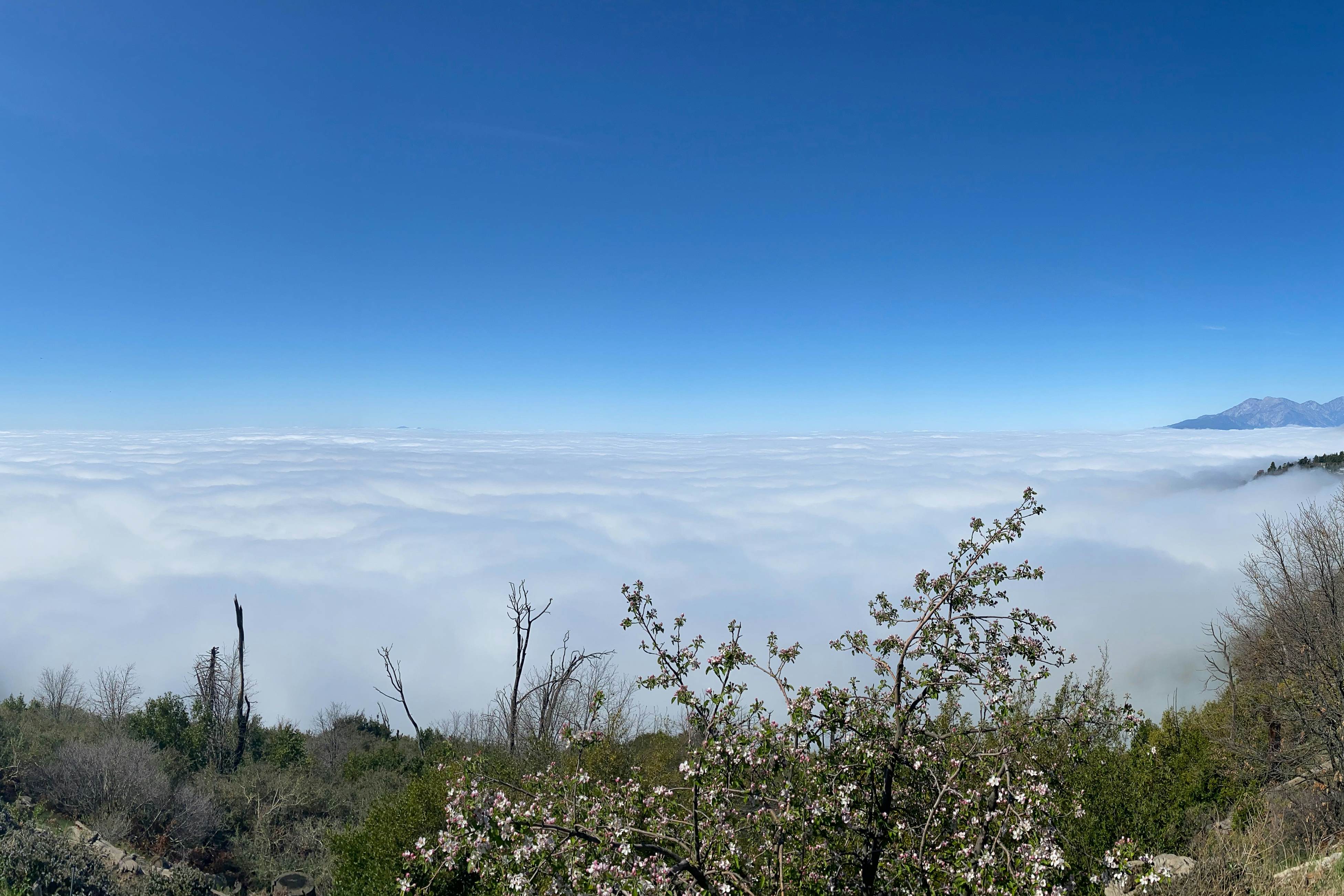 Million Dollar Mountain View