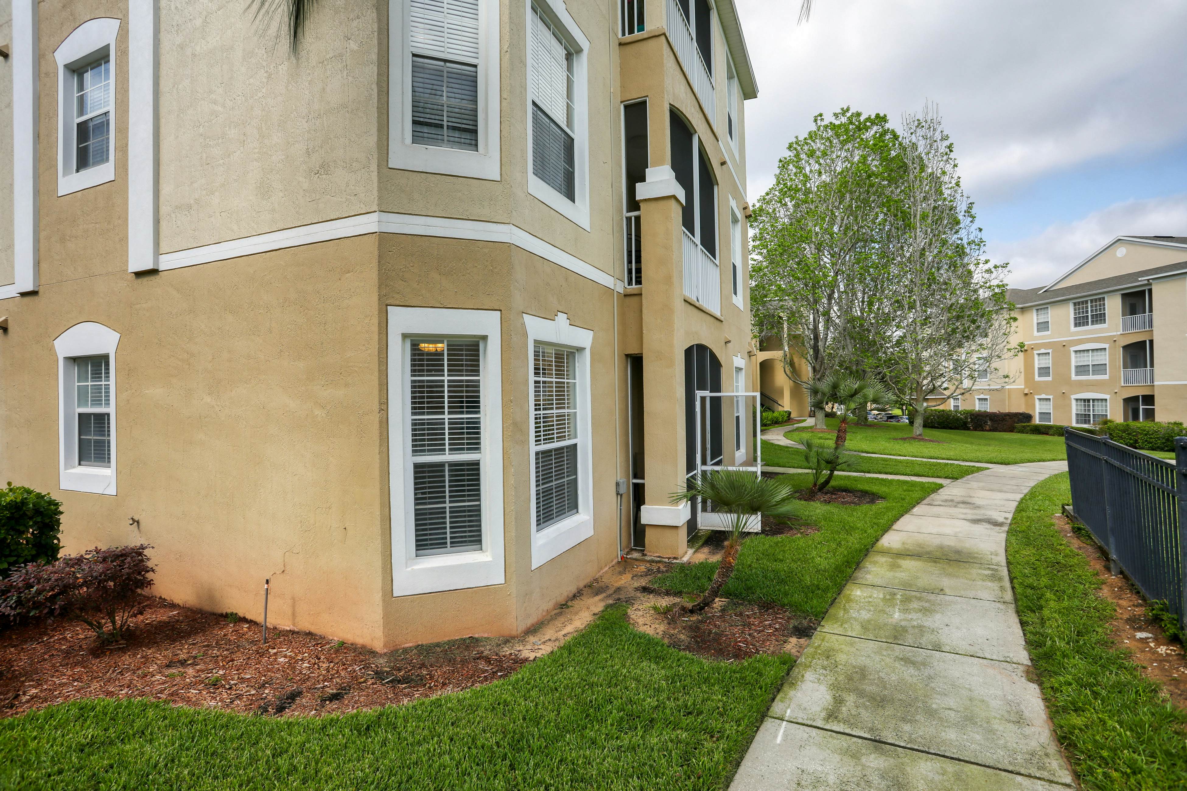 Coconut Cool - Windsor Palms