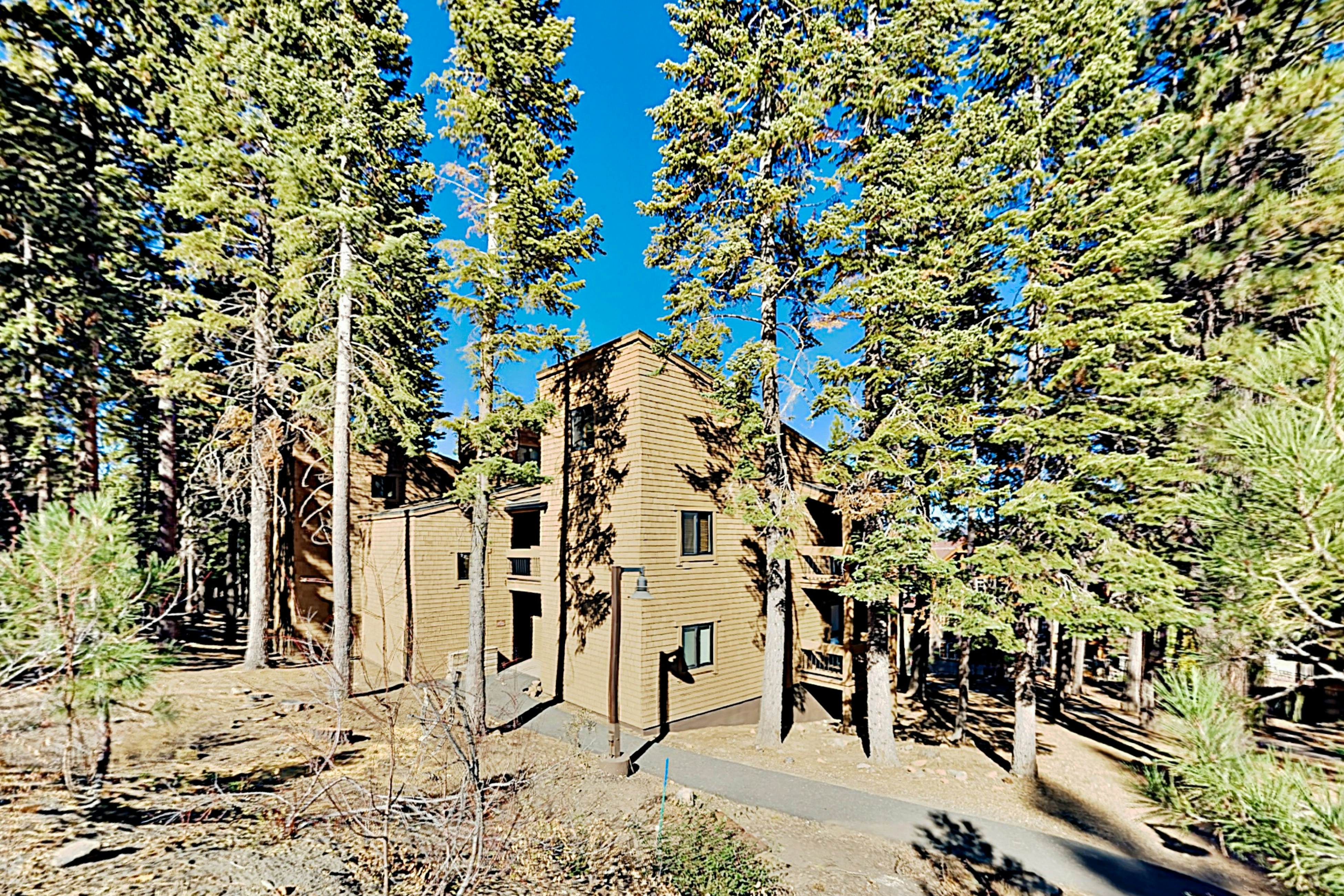 Ski-In, Ski-Out Designer Condo