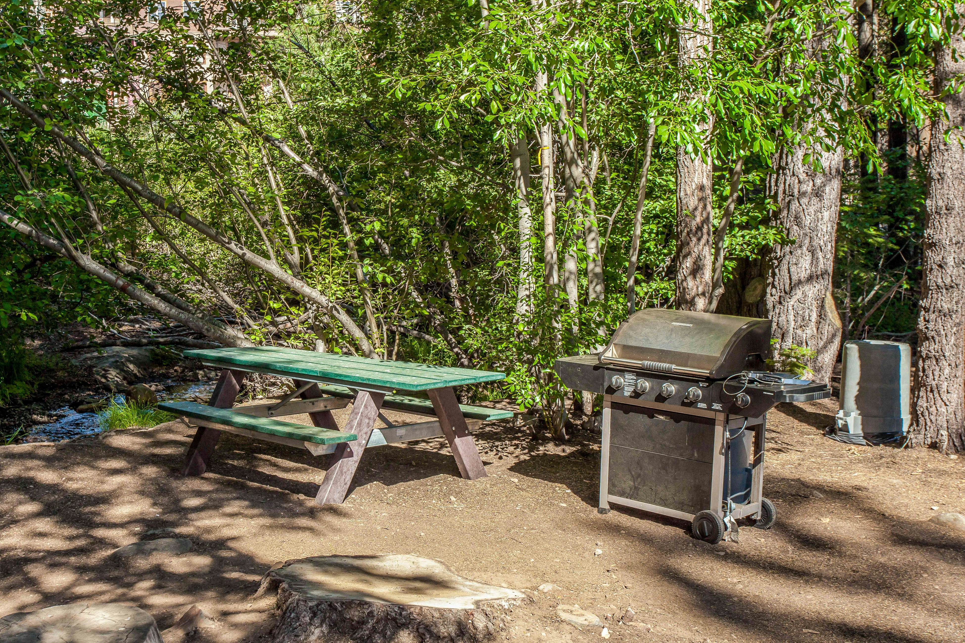 Ski-In, Ski-Out Designer Condo