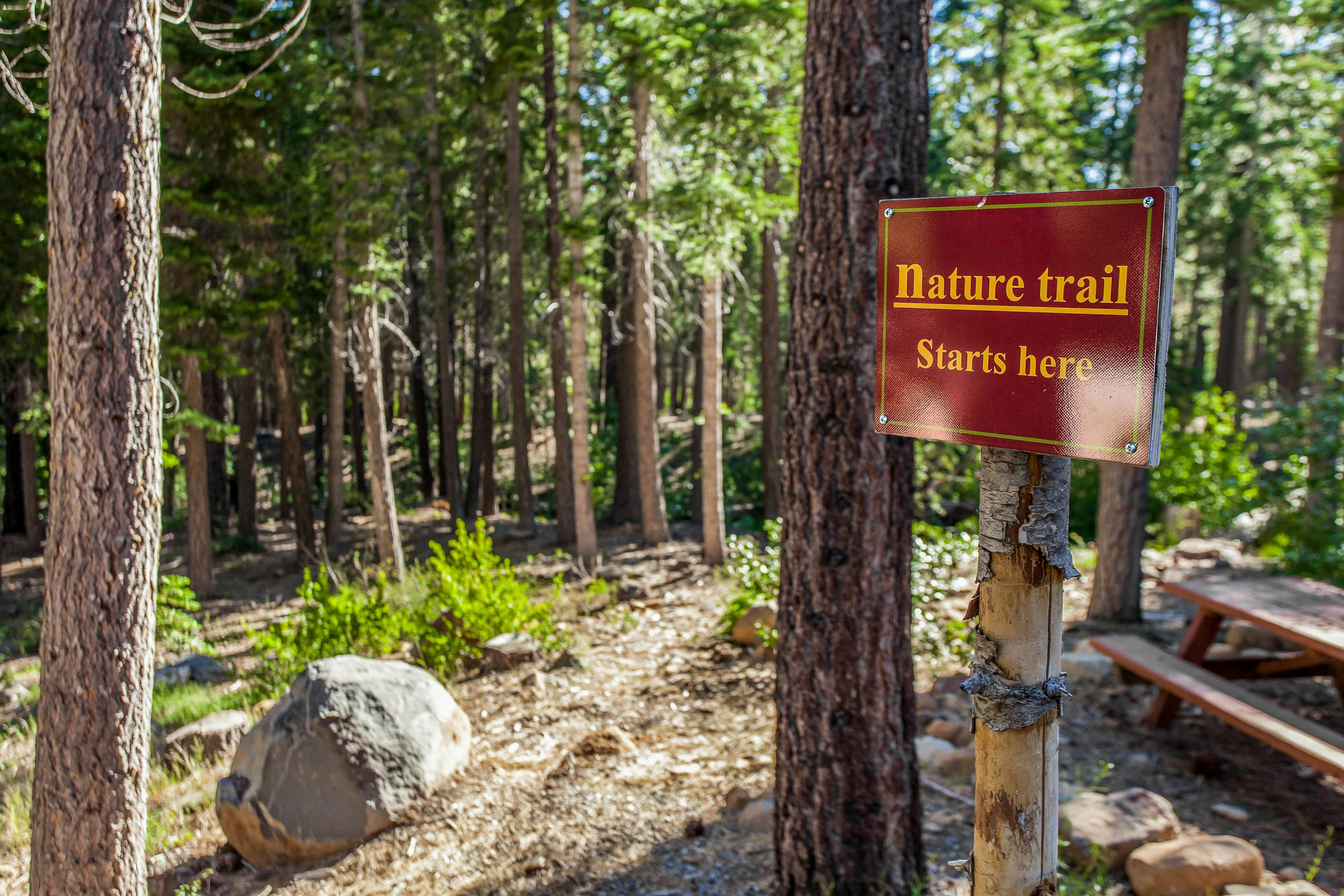 Ski-In, Ski-Out Designer Condo