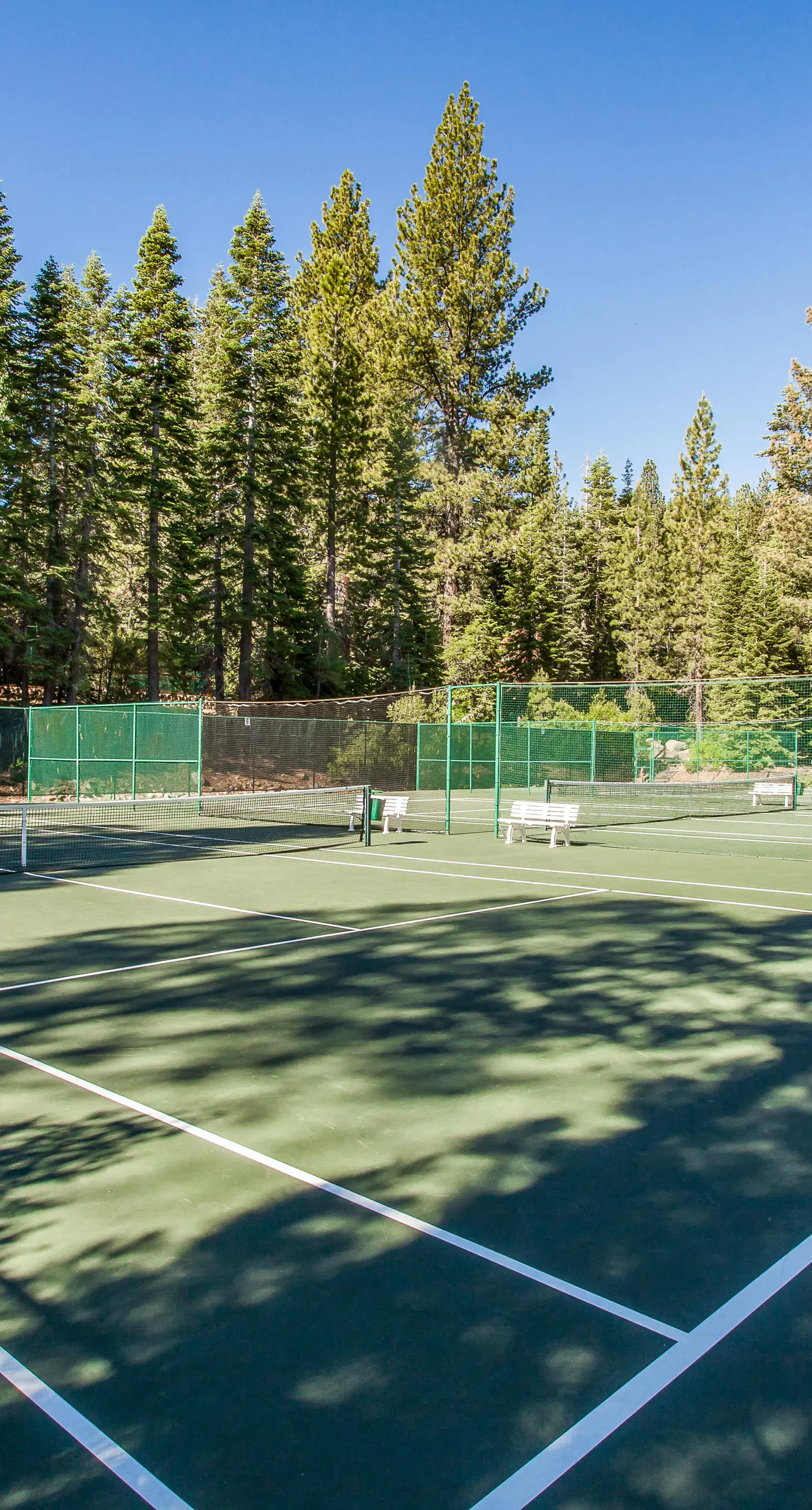 Northstar Resort 207