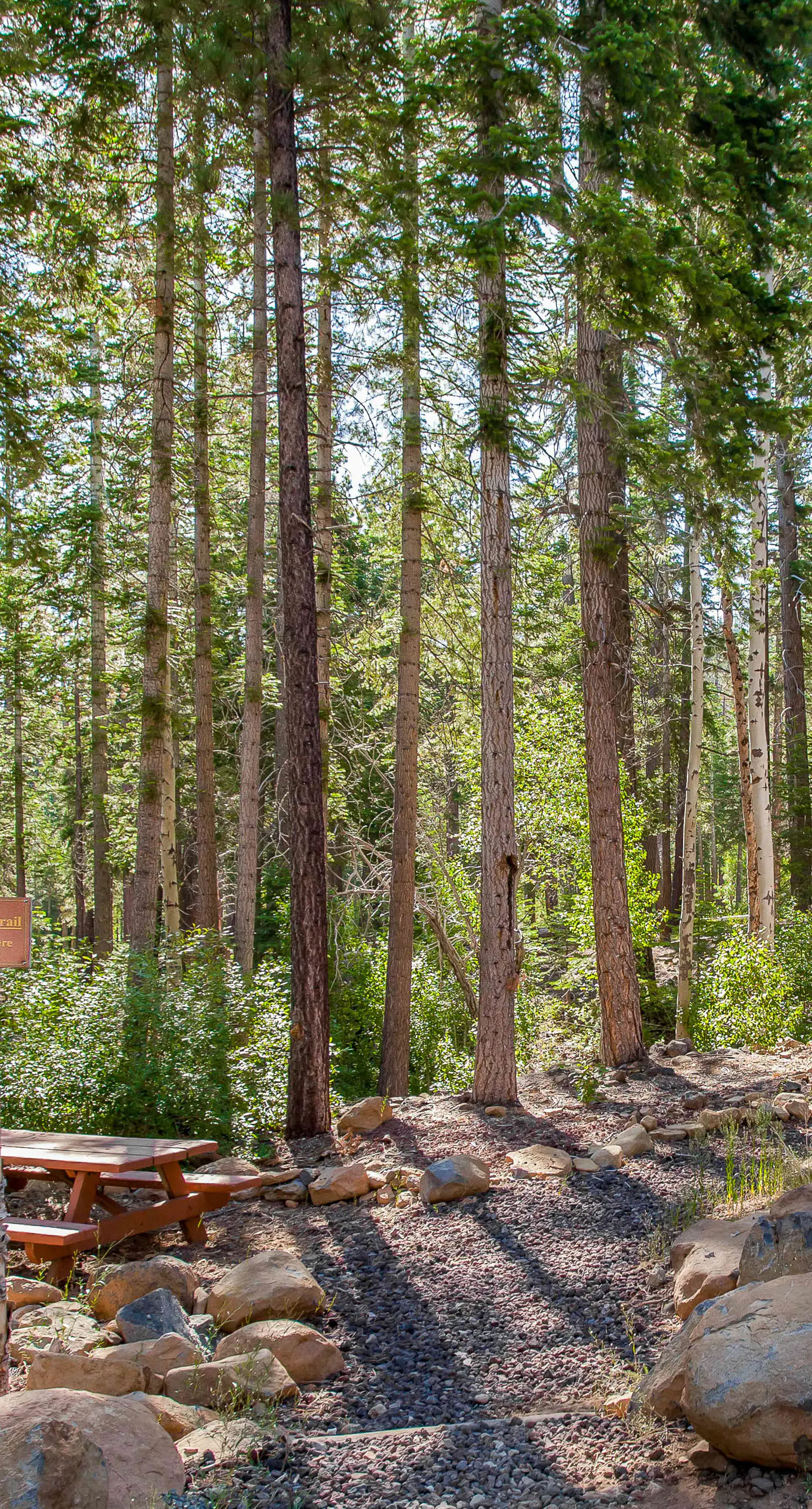 Northstar Resort 207