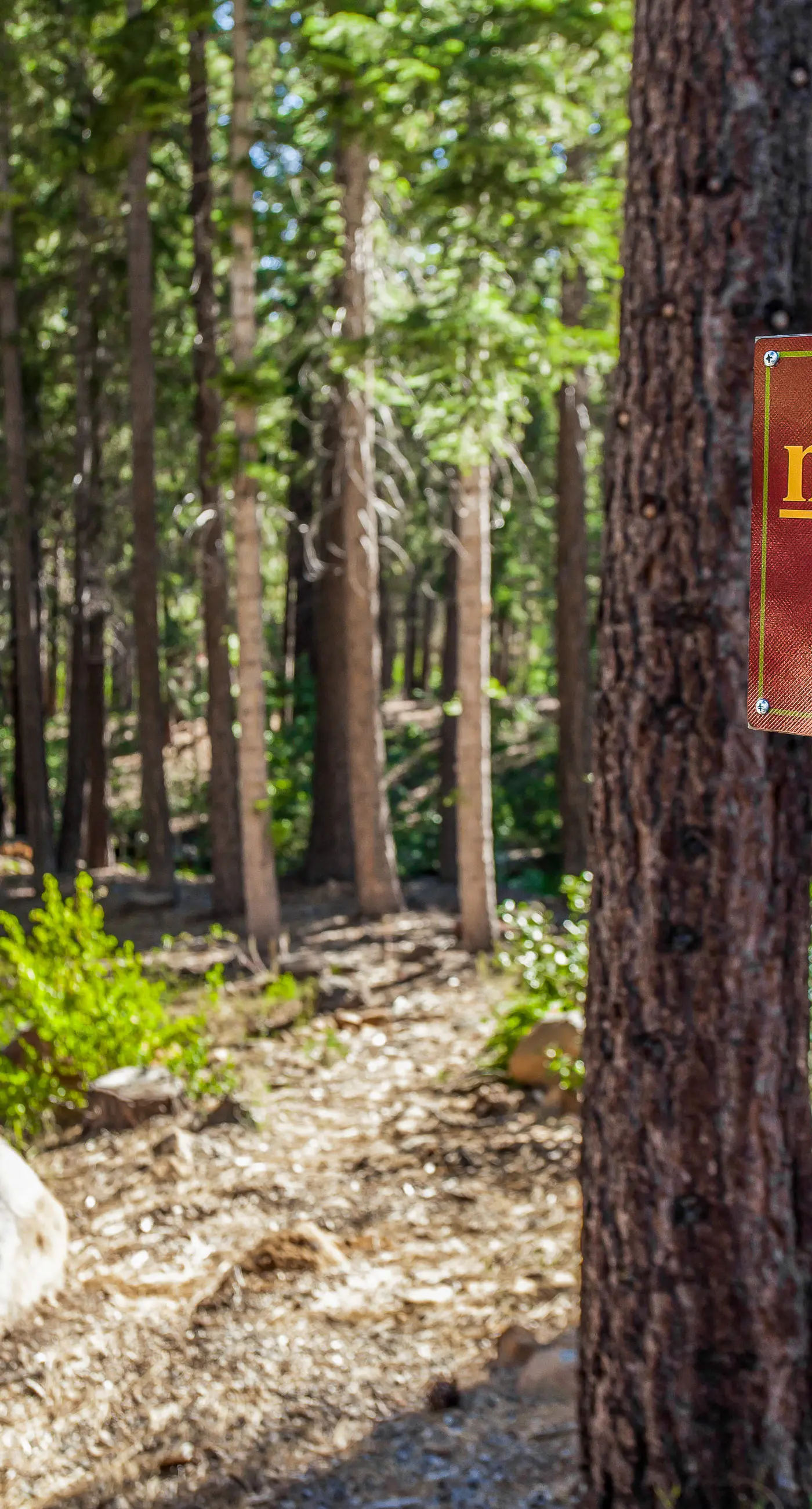 Northstar Resort 207