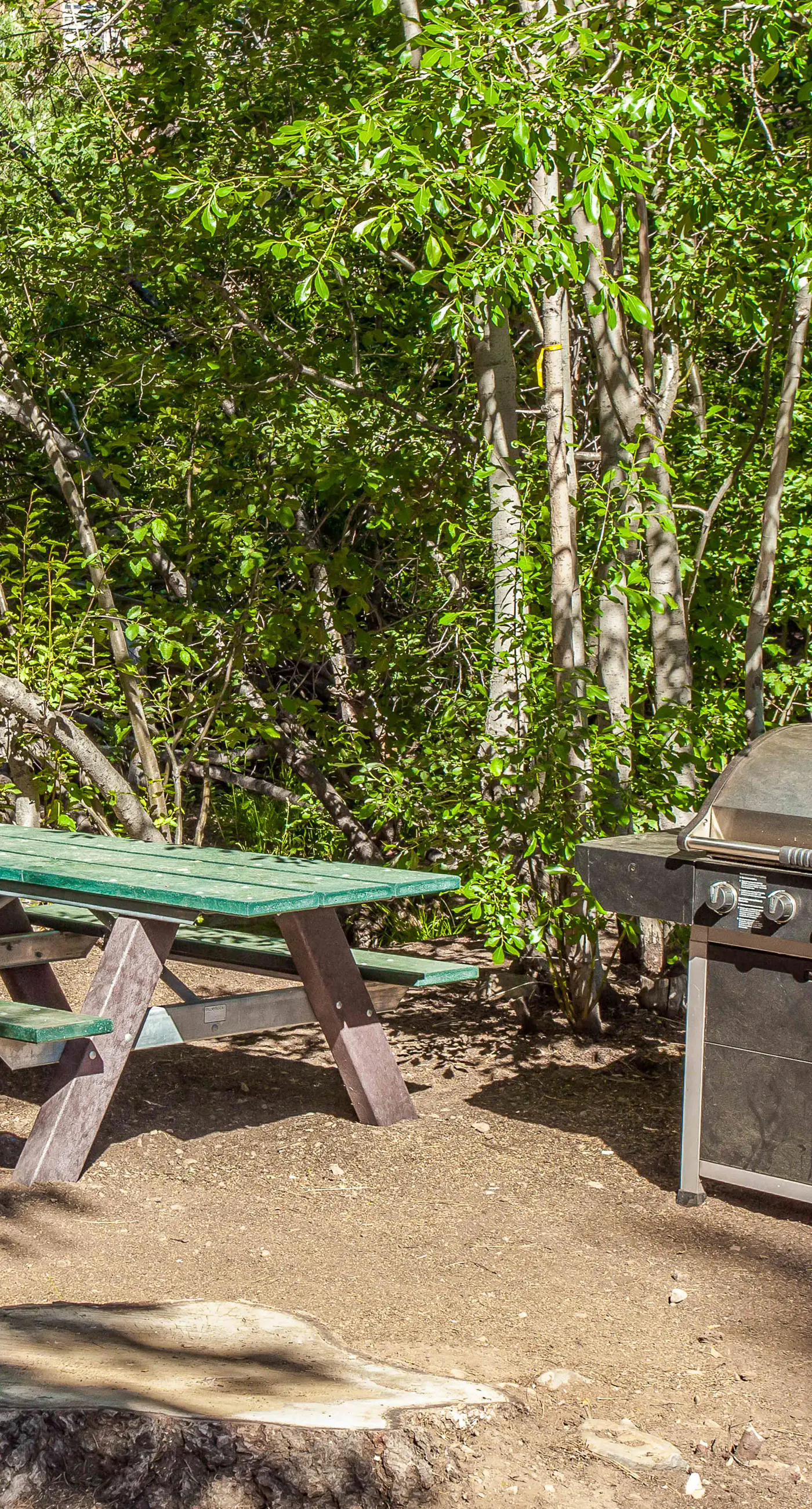 Northstar Resort 207