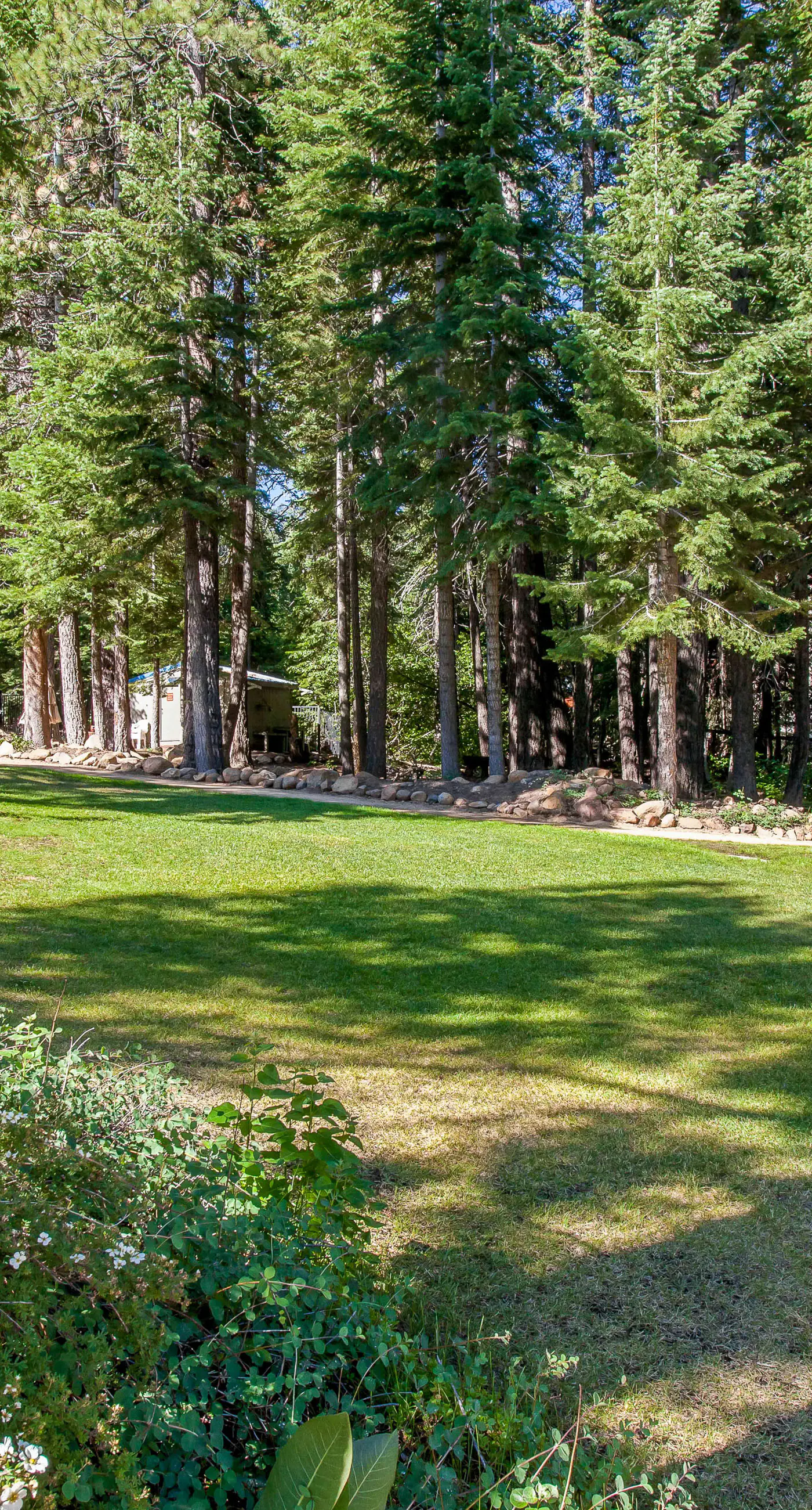 Northstar Resort 207