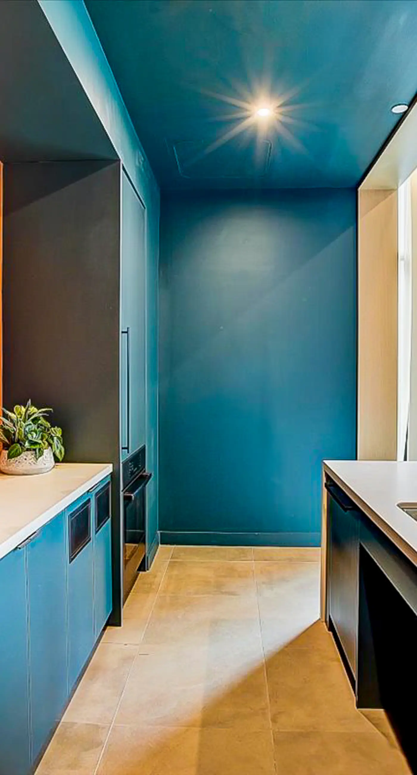 Natiivo Austin Horizons