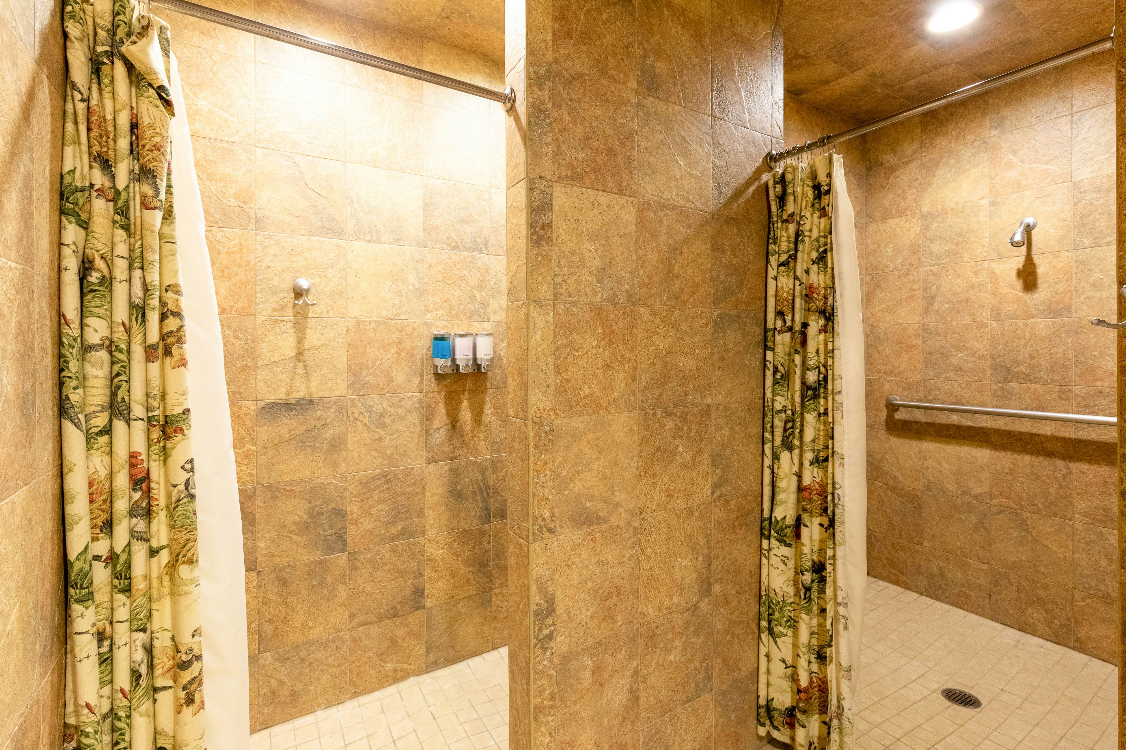 Altitude with Gratitude