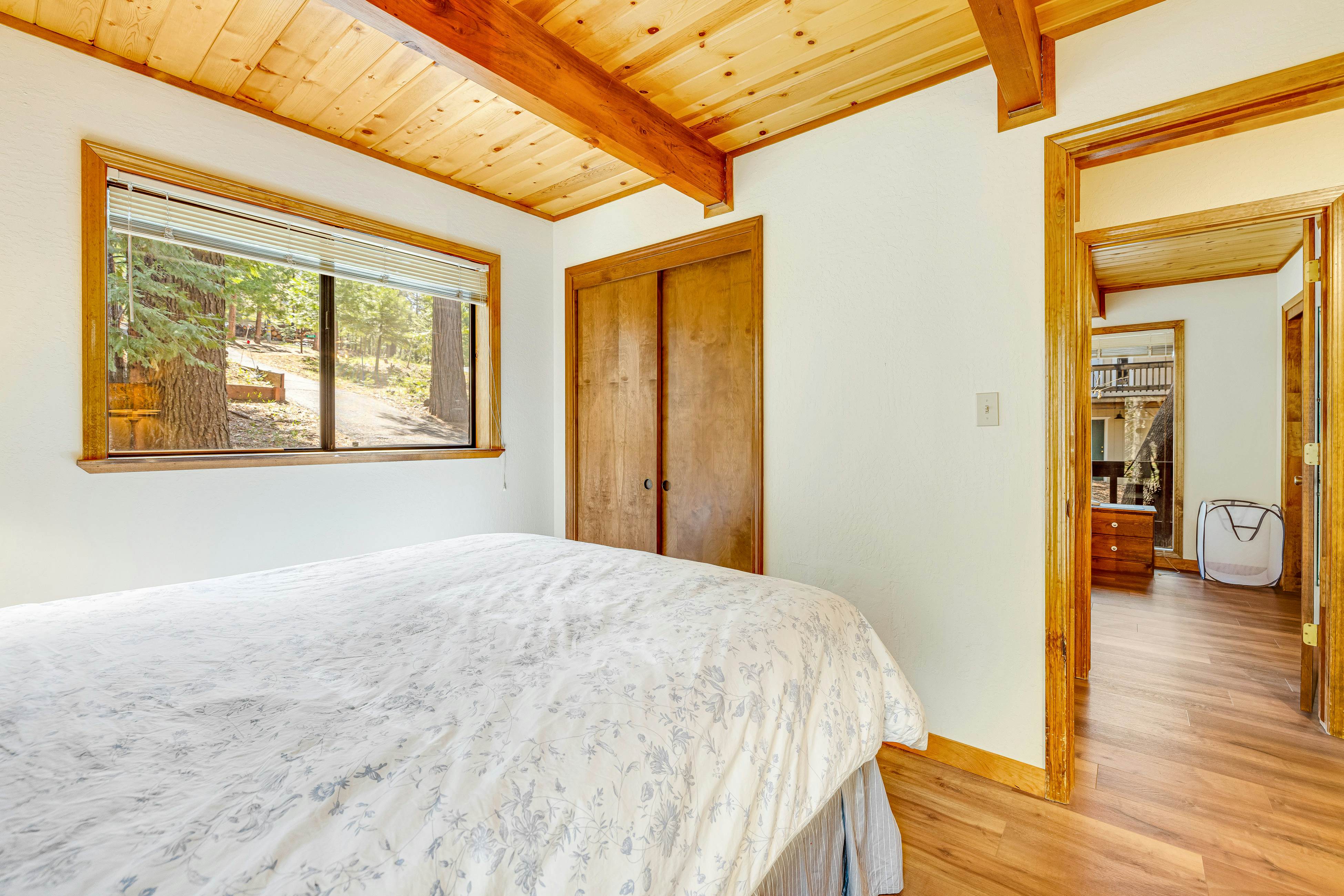 Tranquility in the Woods