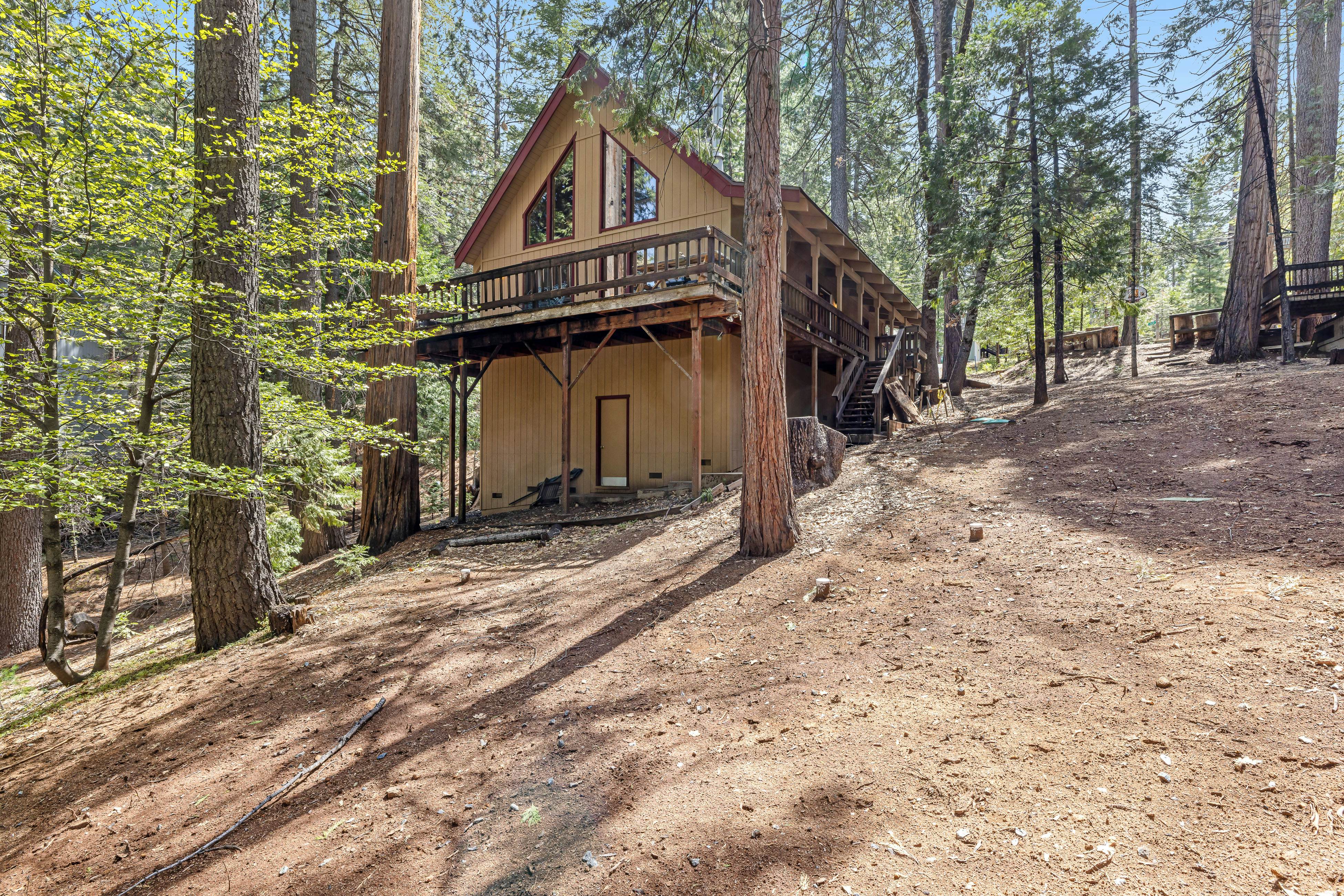 Tranquility in the Woods