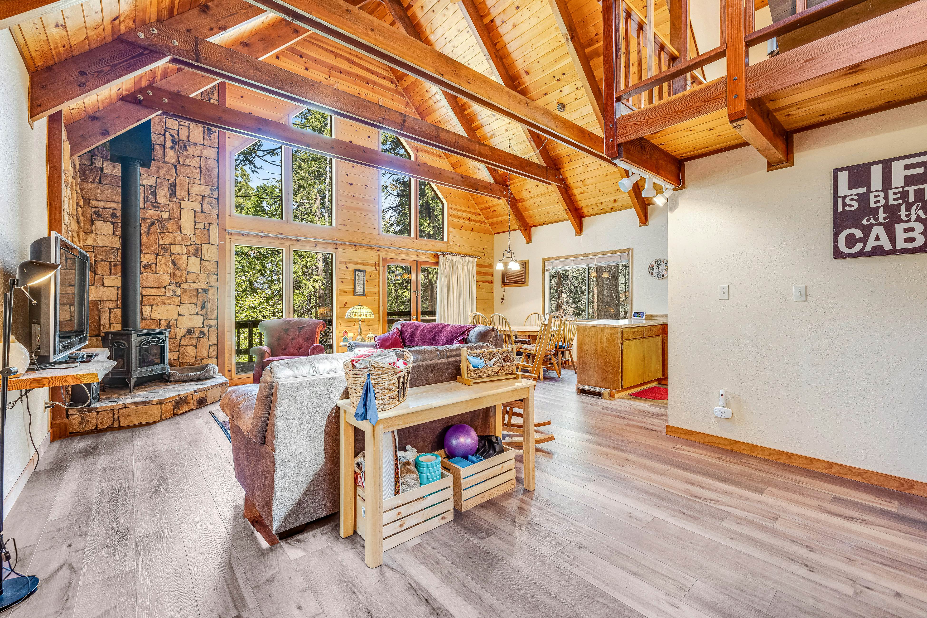 Tranquility in the Woods