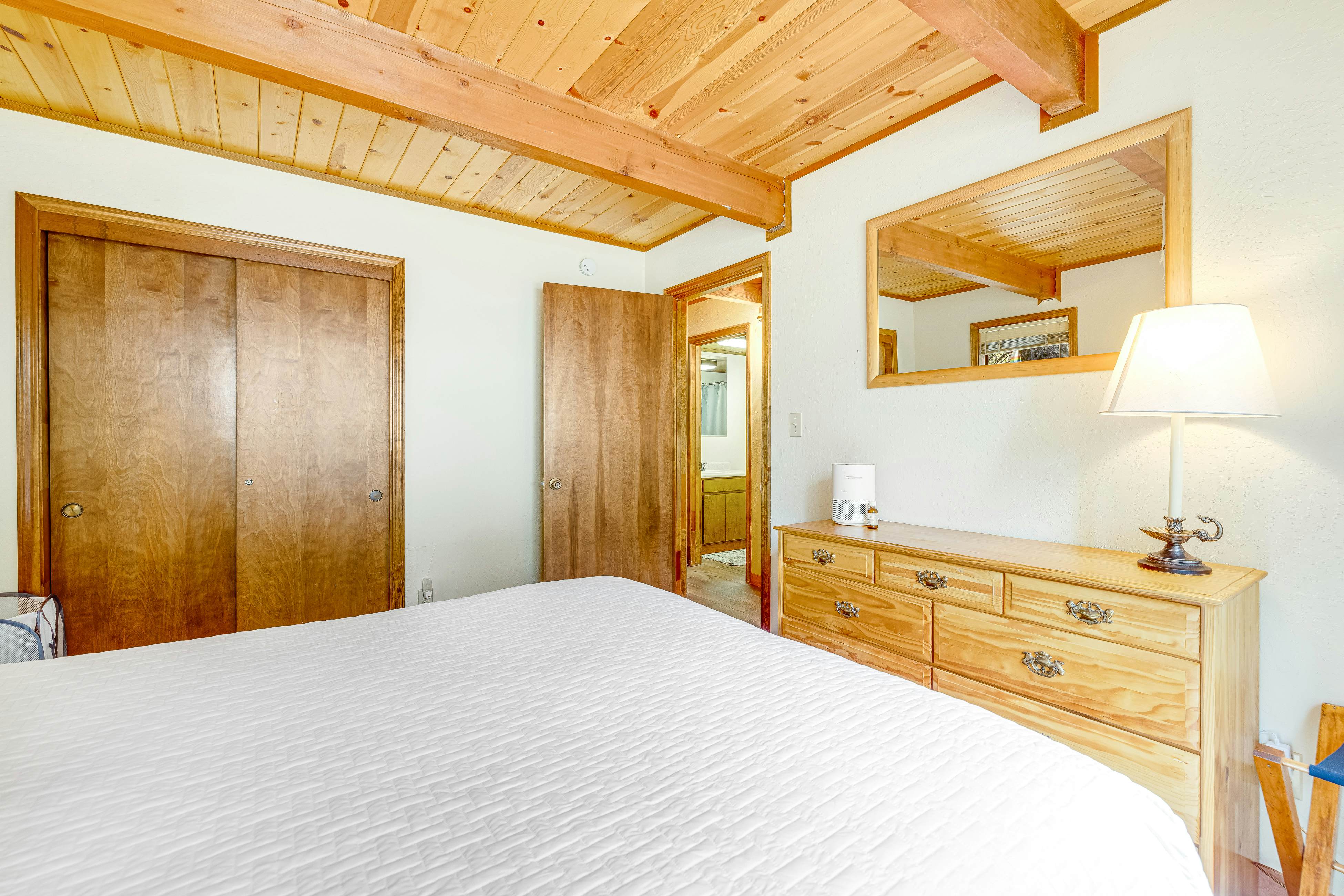 Tranquility in the Woods