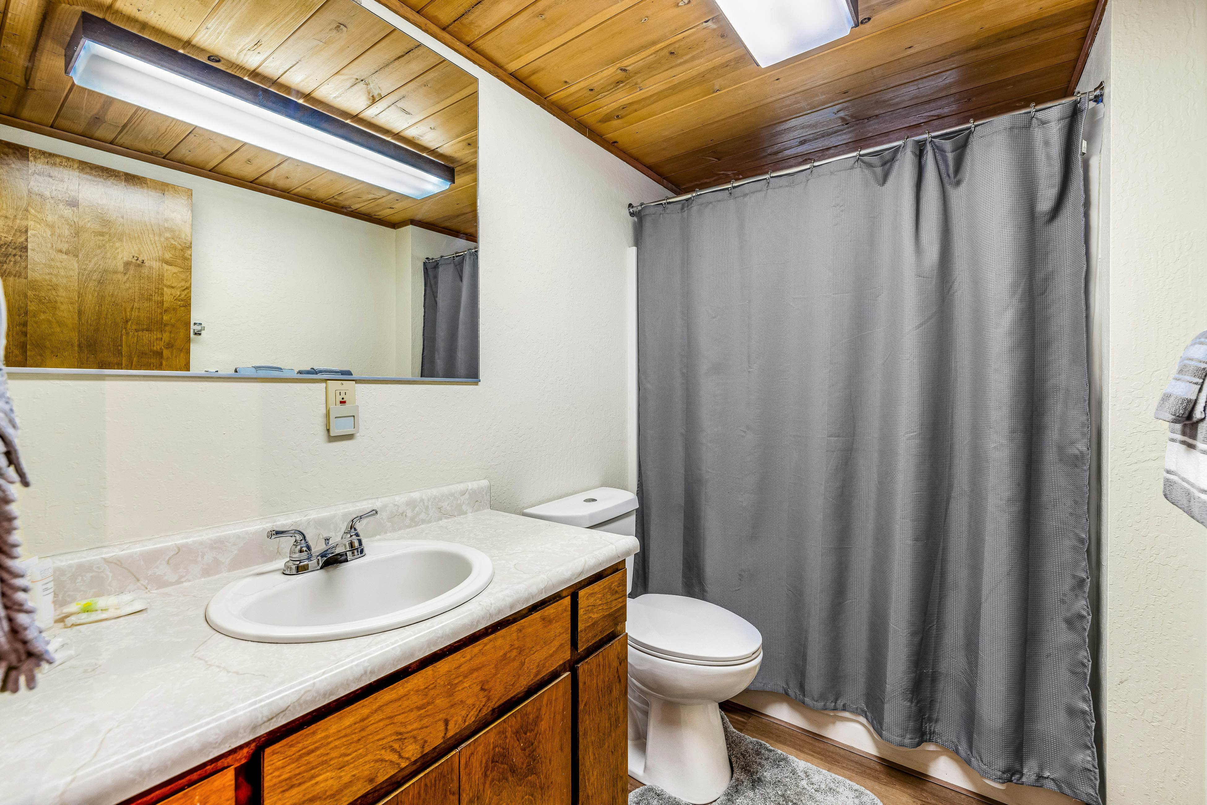 Tranquility in the Woods