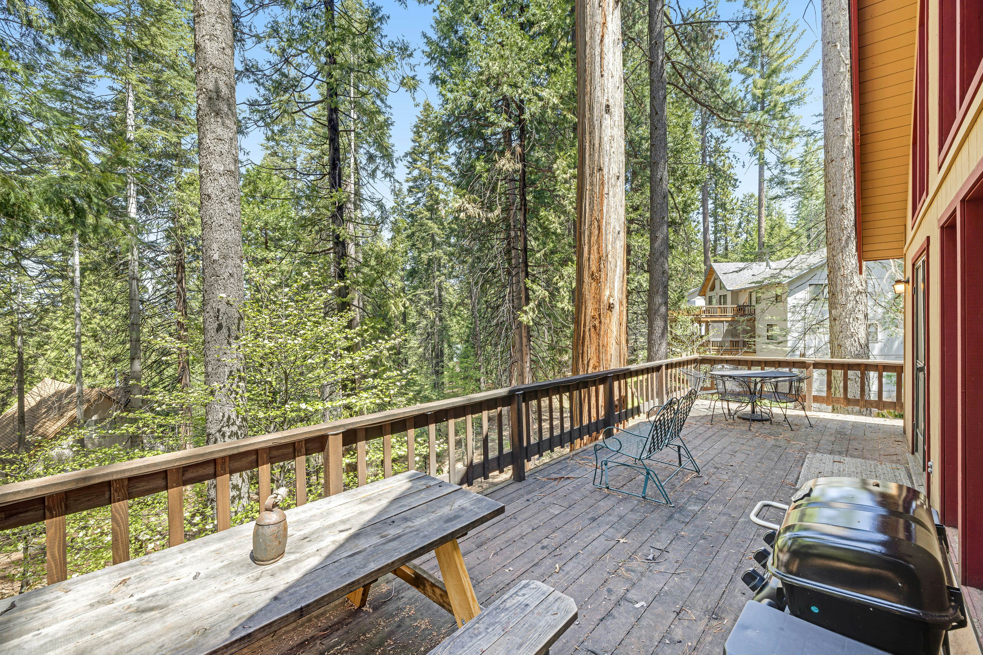 Tranquility in the Woods