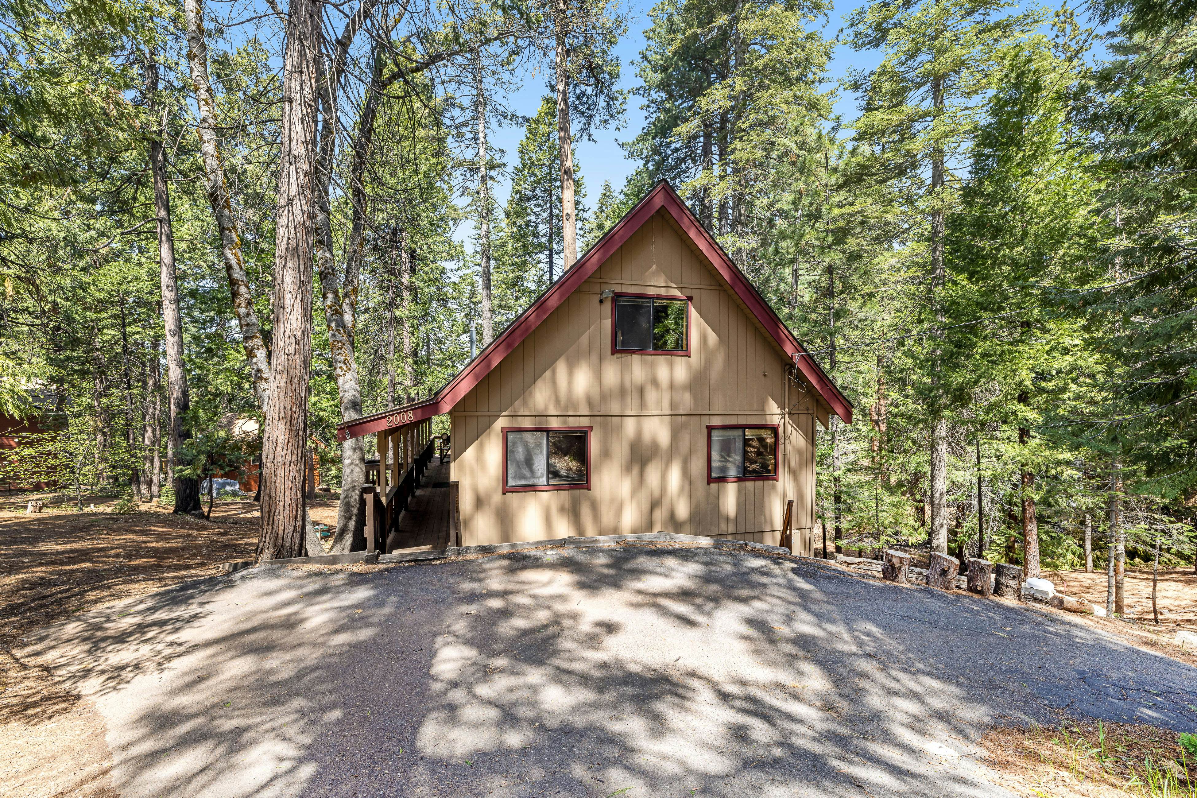 Tranquility in the Woods