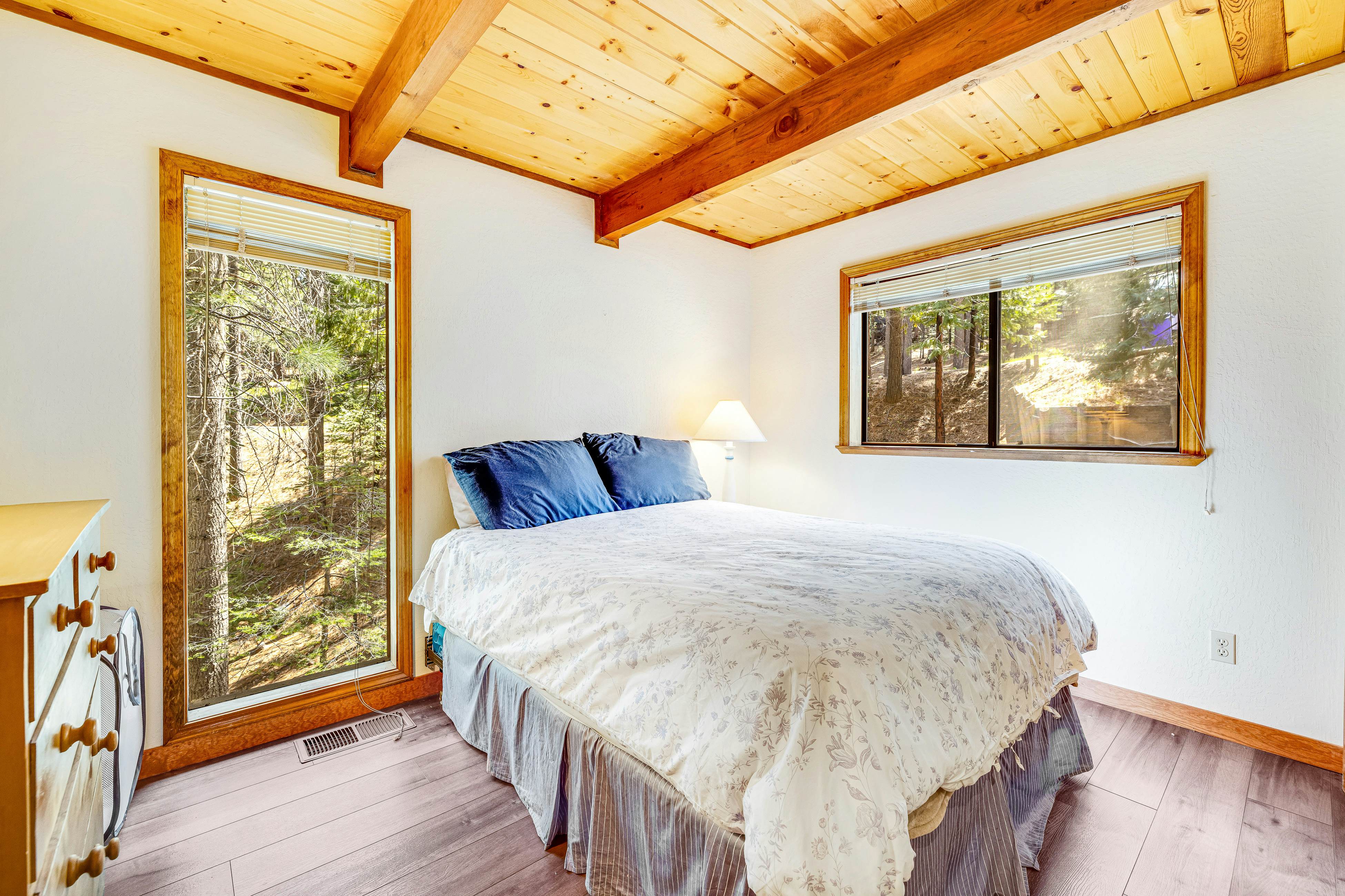 Tranquility in the Woods