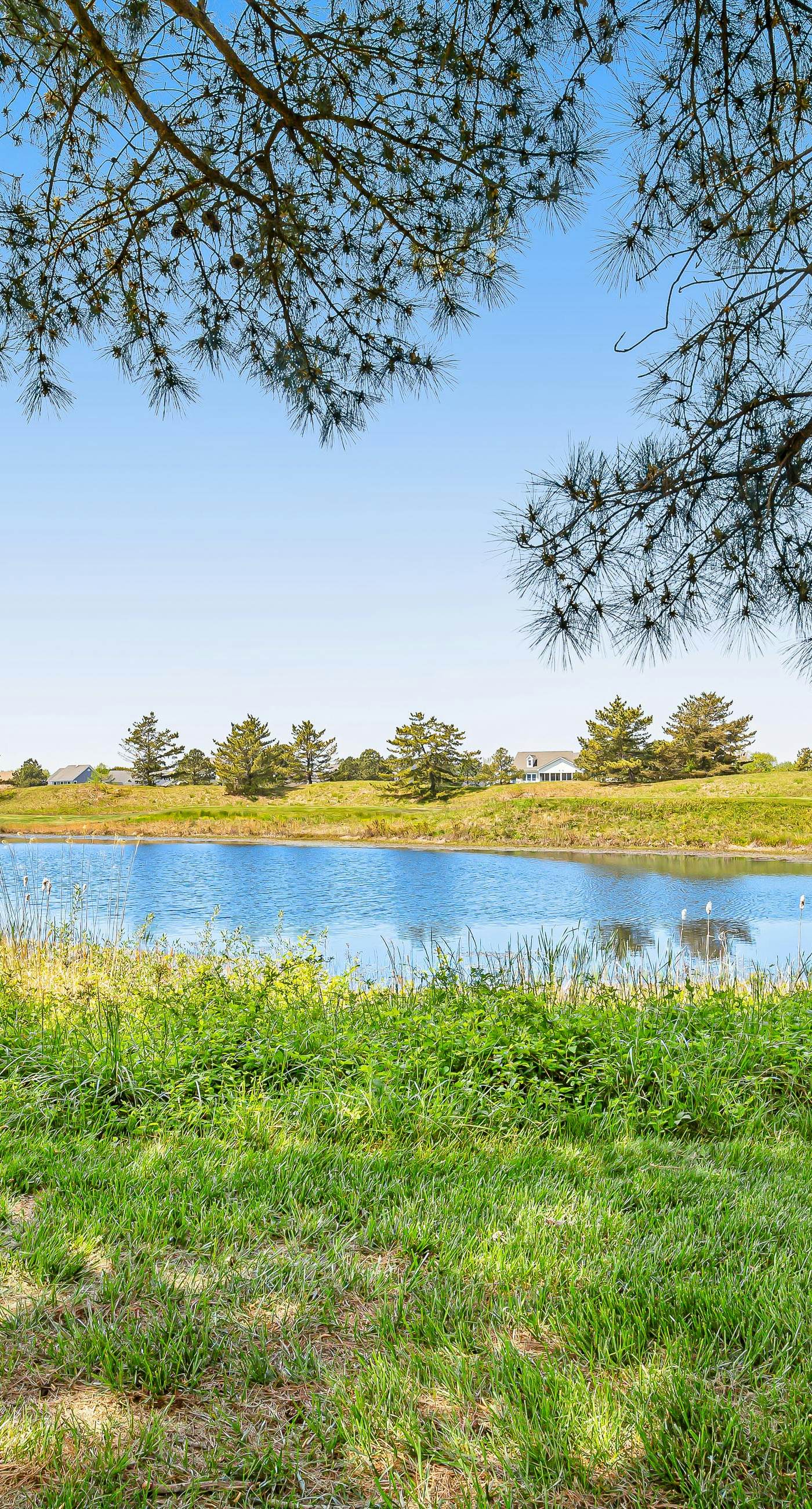 Bear Trap Dunes - 60 Willow Oak Ave