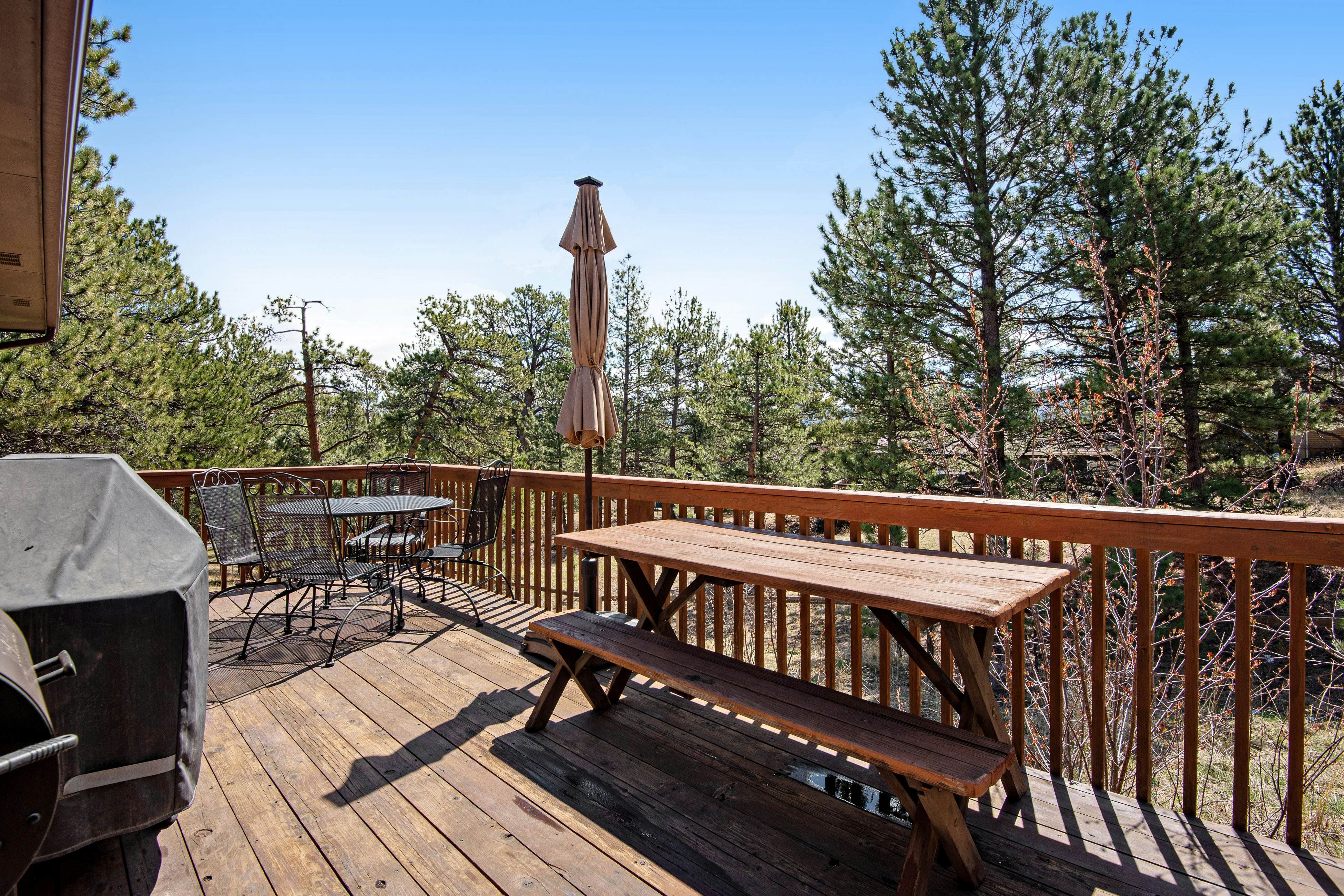 Whispering Wind in the Trees