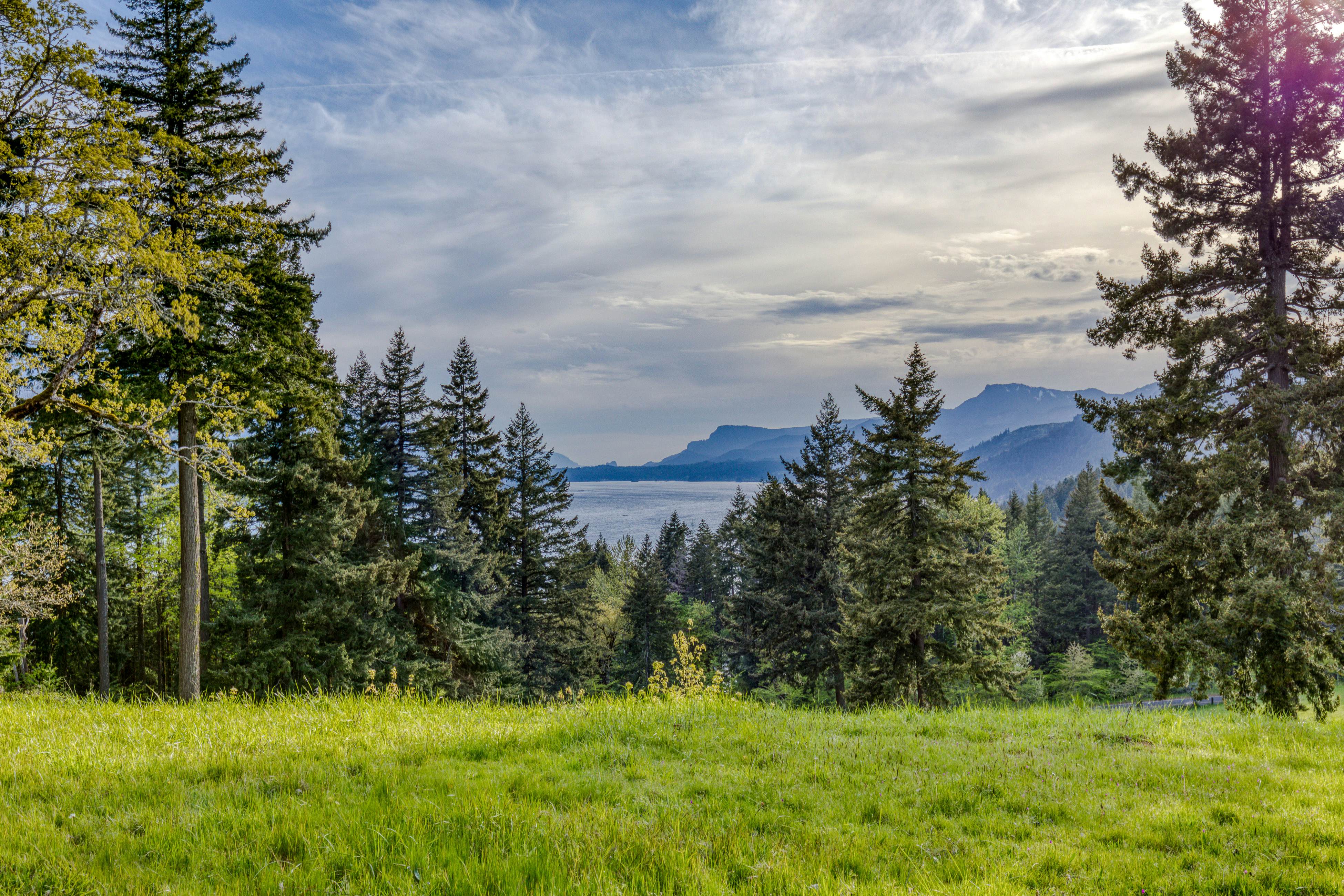 Tenzen Springs Cabin 5 0 BD Stevenson, WA Vacation Rental Vacasa