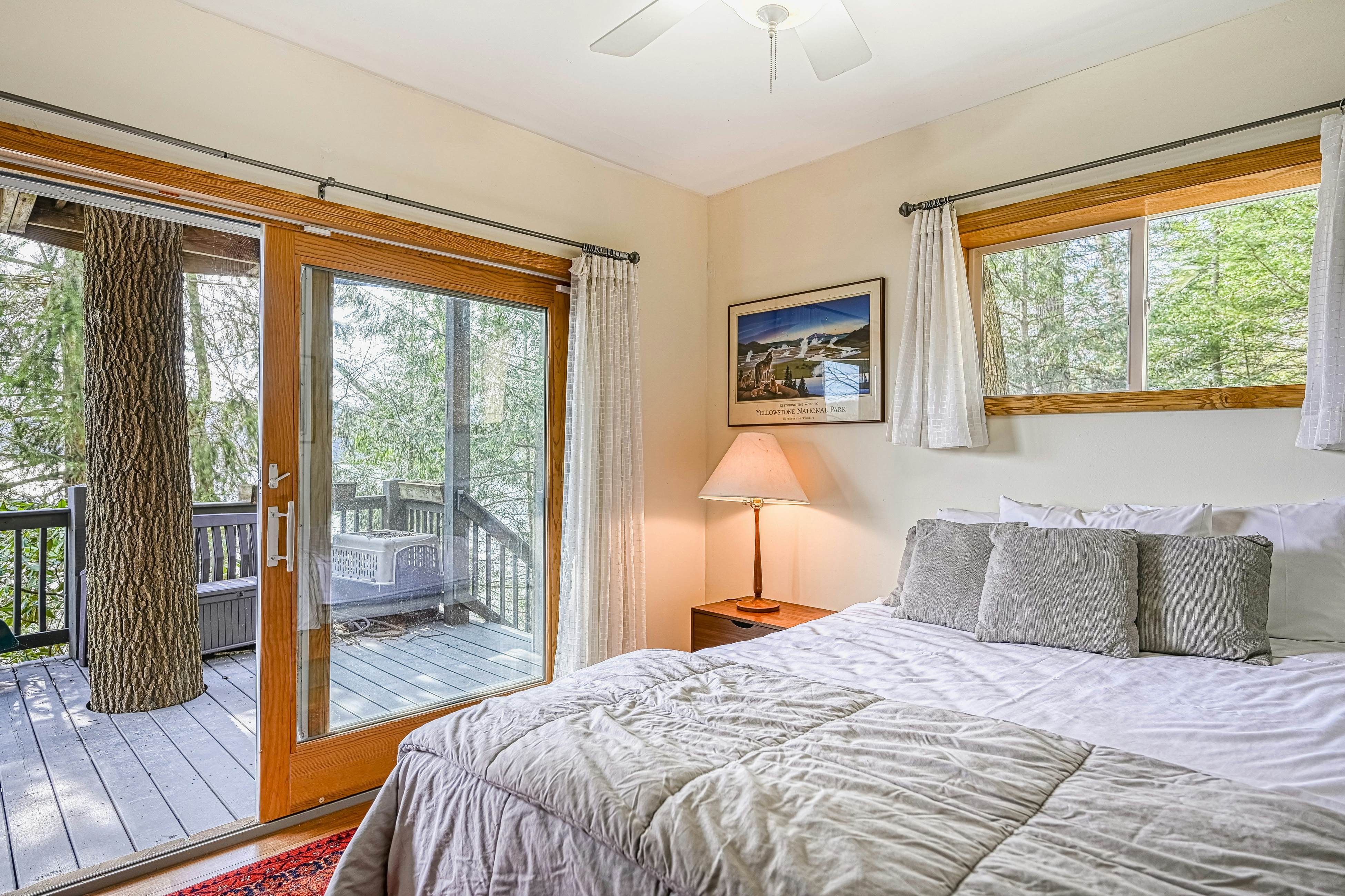 A Million Dollar View